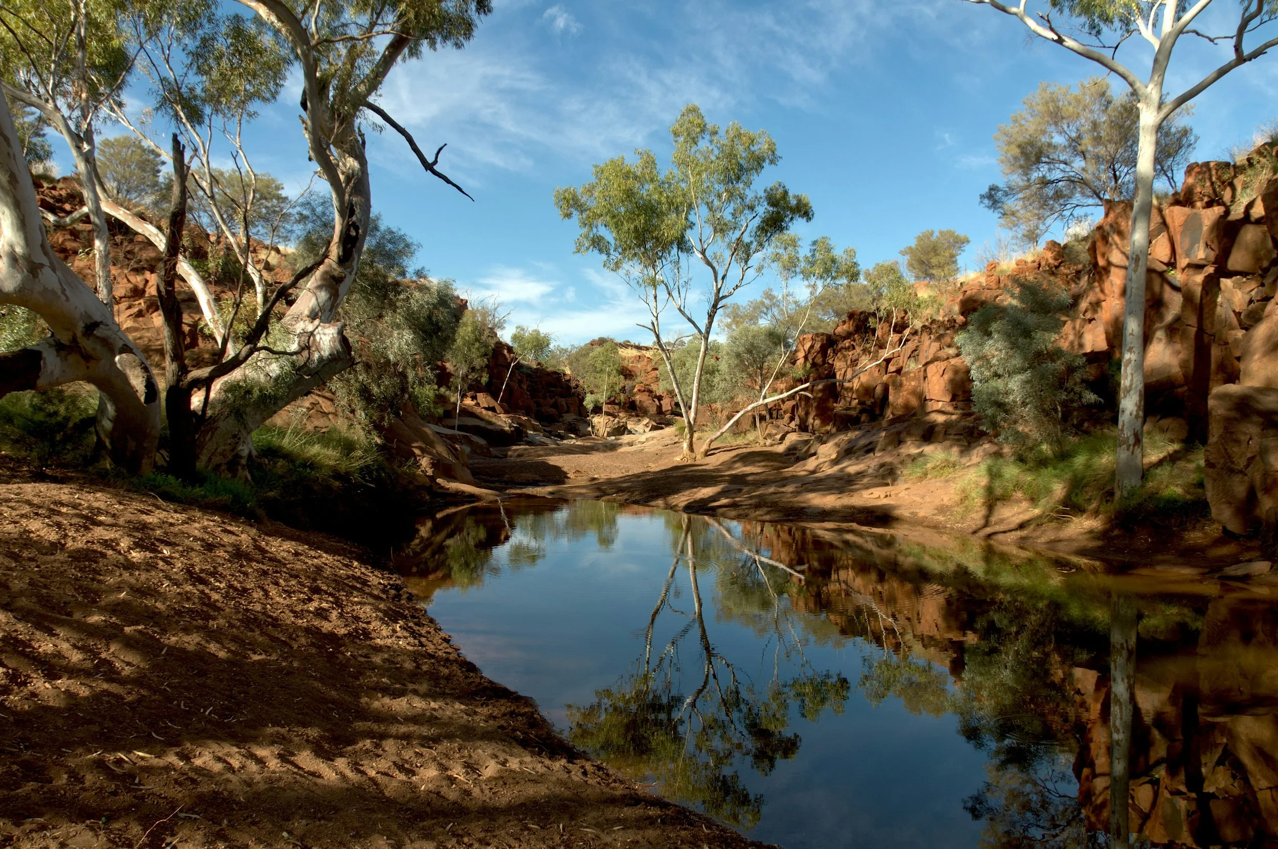 A rocky, desert landscape with a small waterhole reflecting surrounding trees and blue sky.