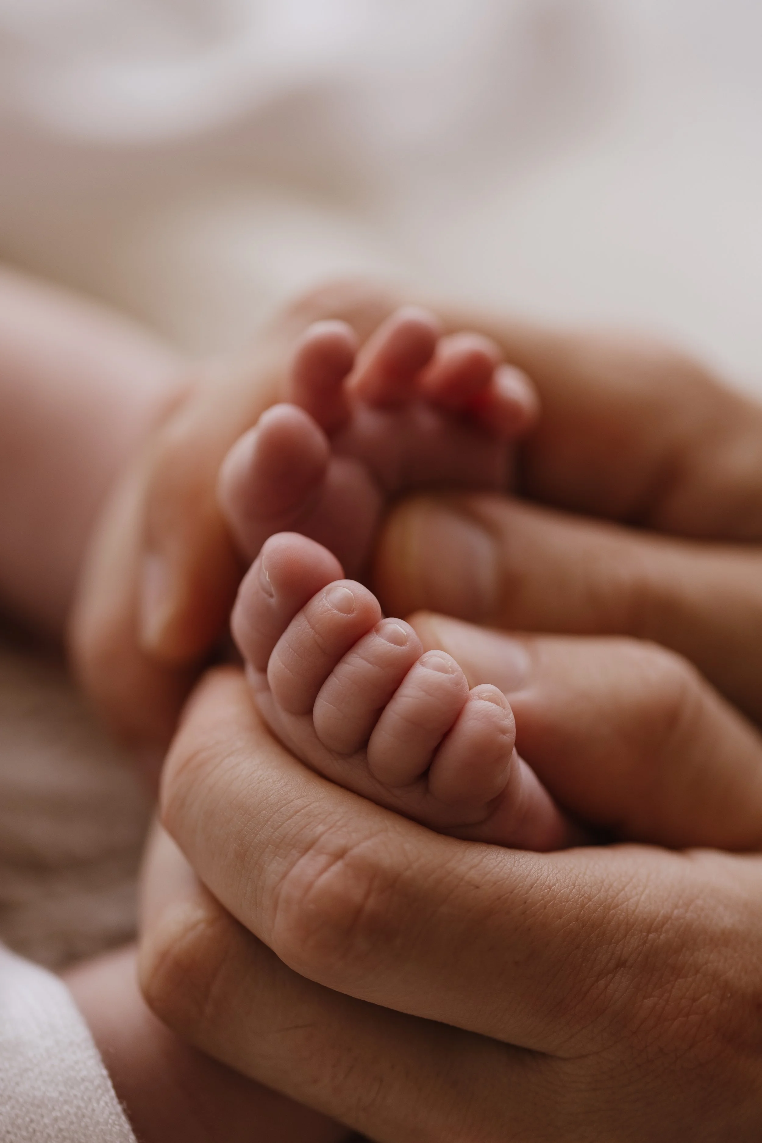 Katerina Newborn-3.jpg