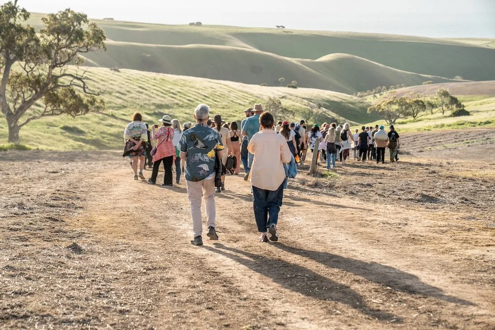 Walking down to the sheoak grove
