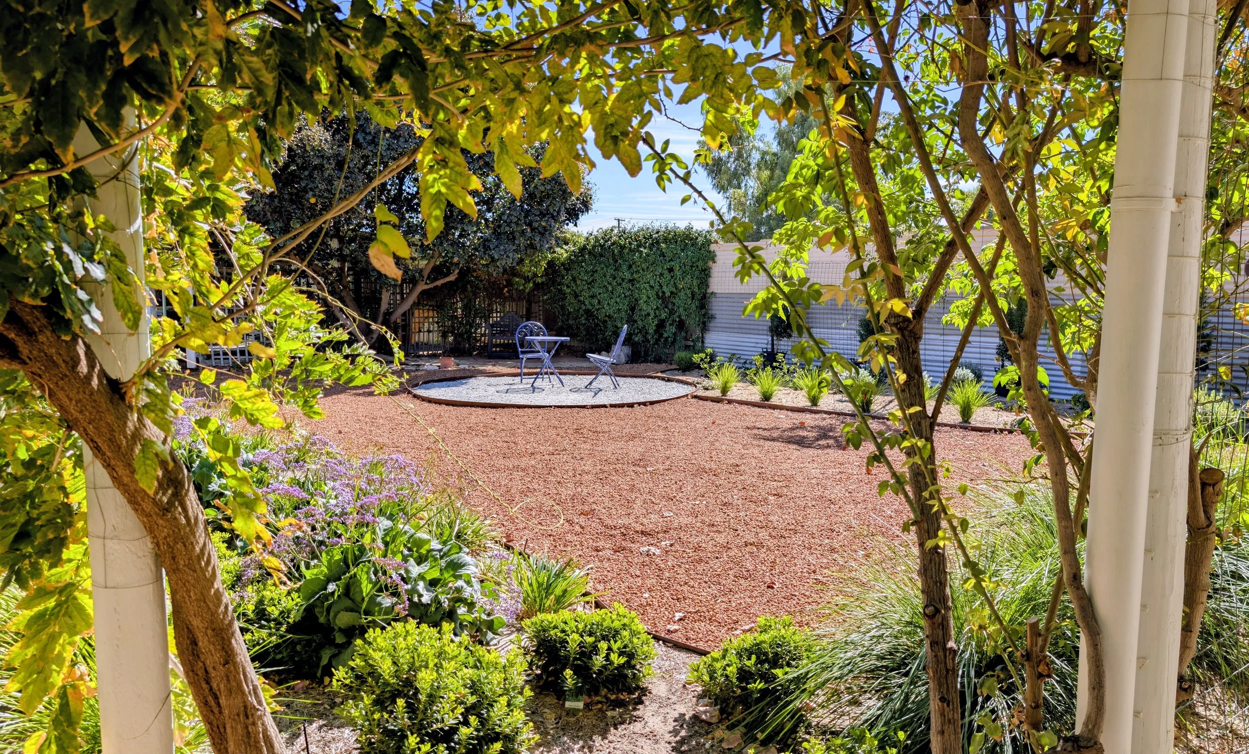 Shared outdoor garden area