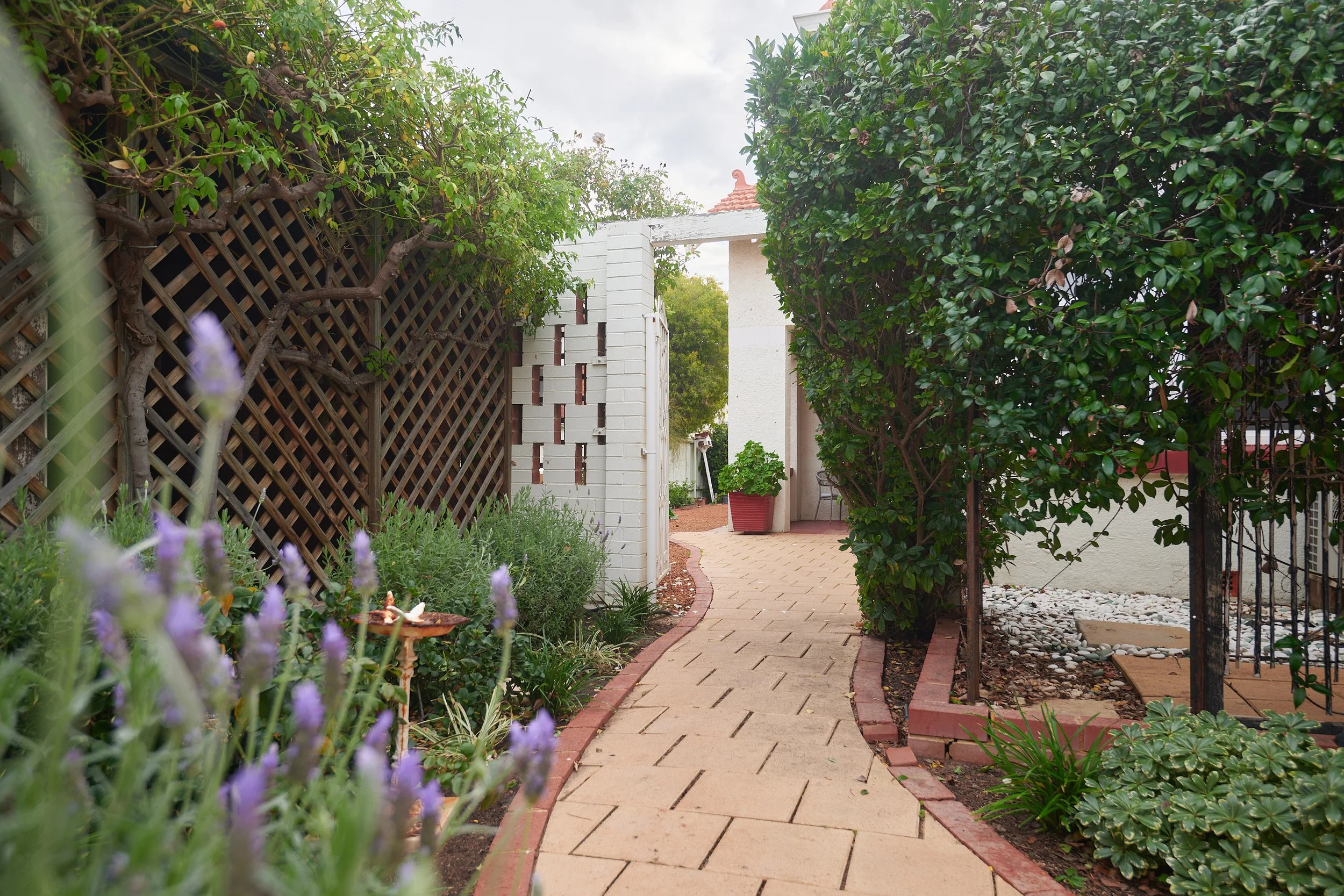 Front entrance garden