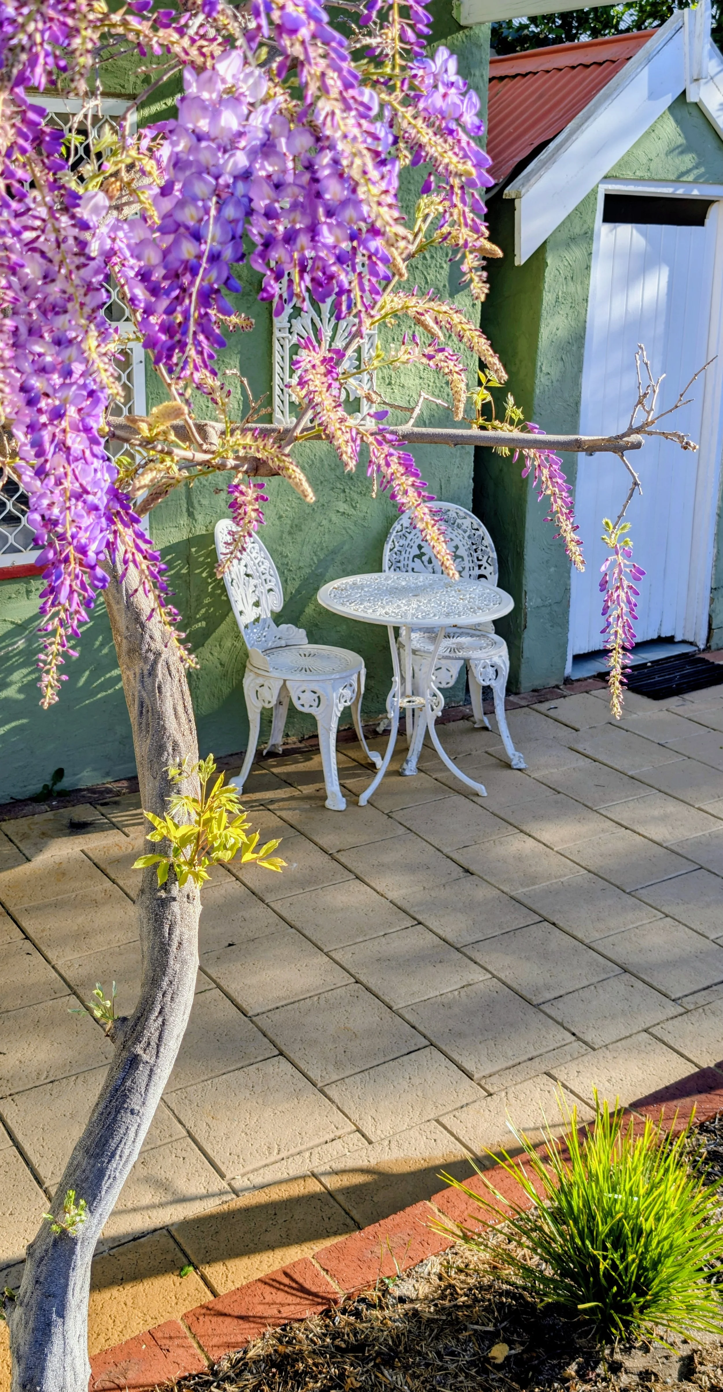 Outdoor garden space