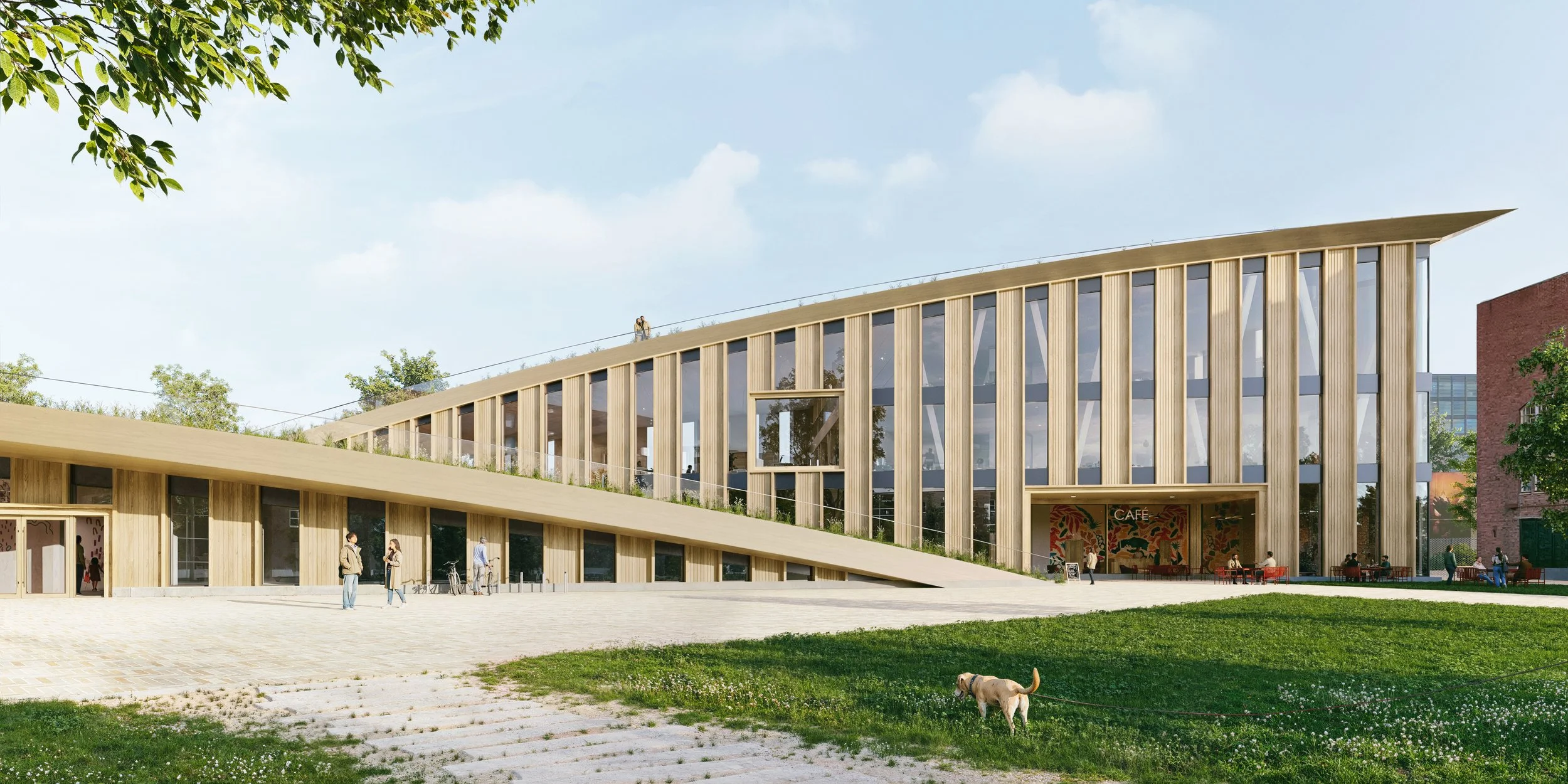 MCC_front 8.jpg.jpeg