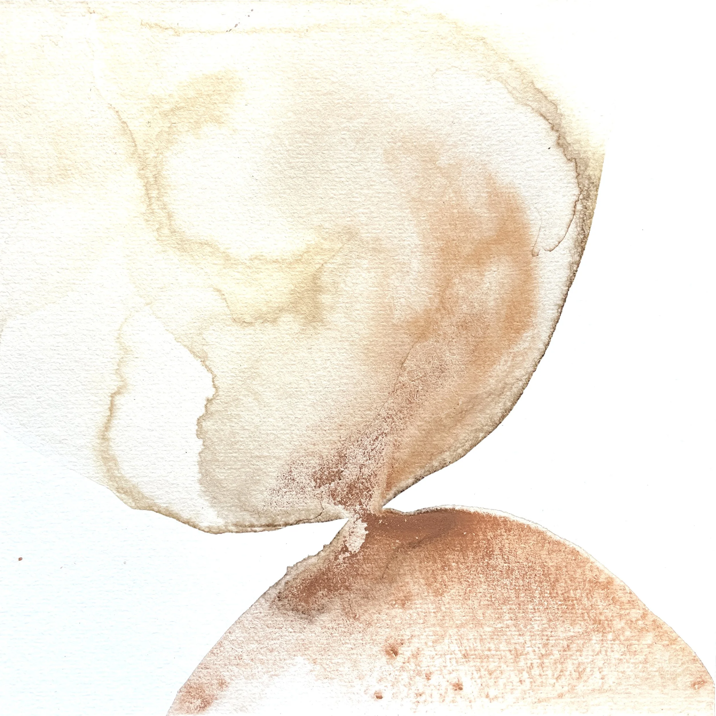 09_Thym terre rouge de Mbanza Ngungu.jpg