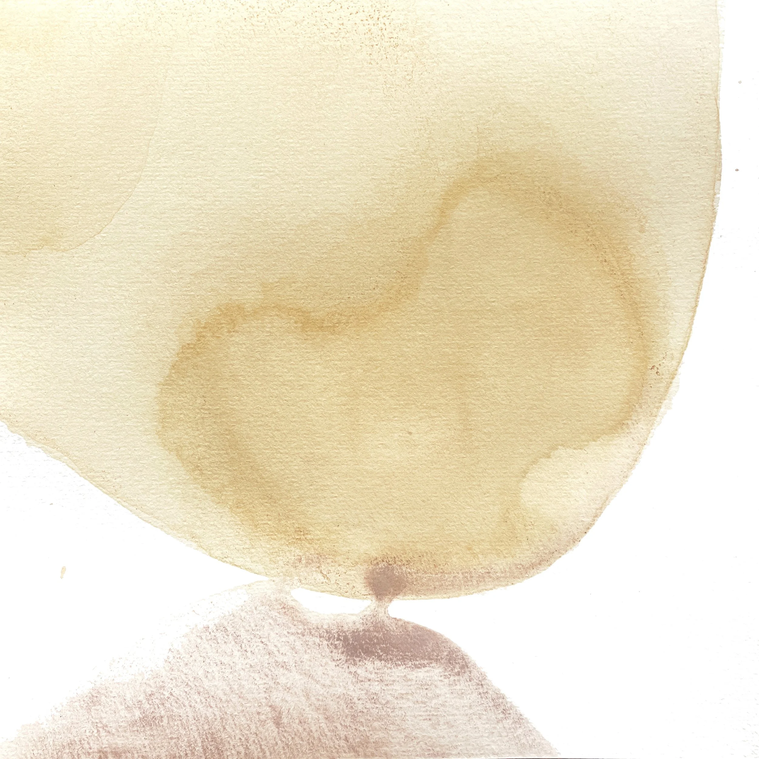 08_Roucou roche violette de le Bès.jpg