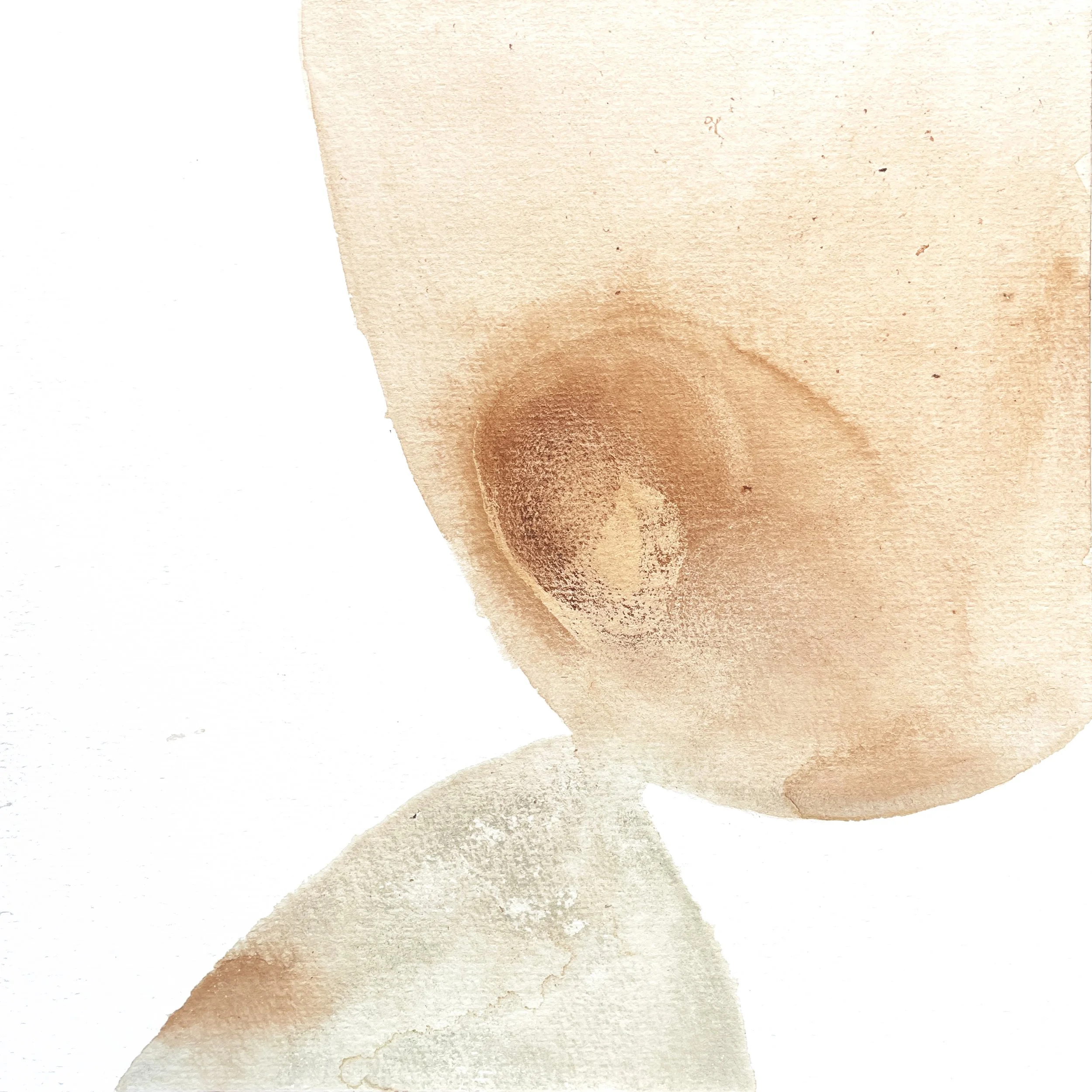 12_bois rouge Haïti  roche vert de le Bès.jpg