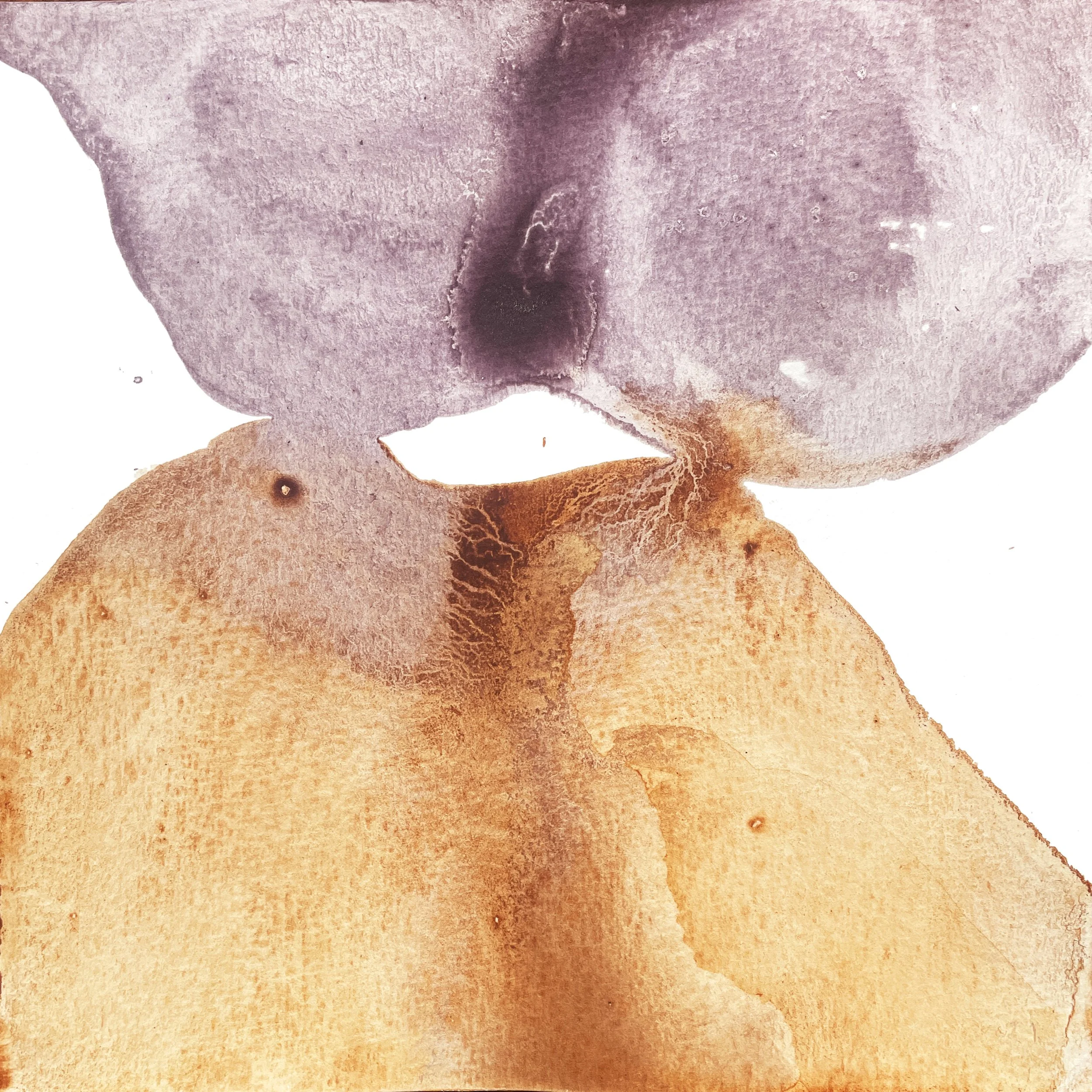 01__kanpèch terre rouge GA.jpg