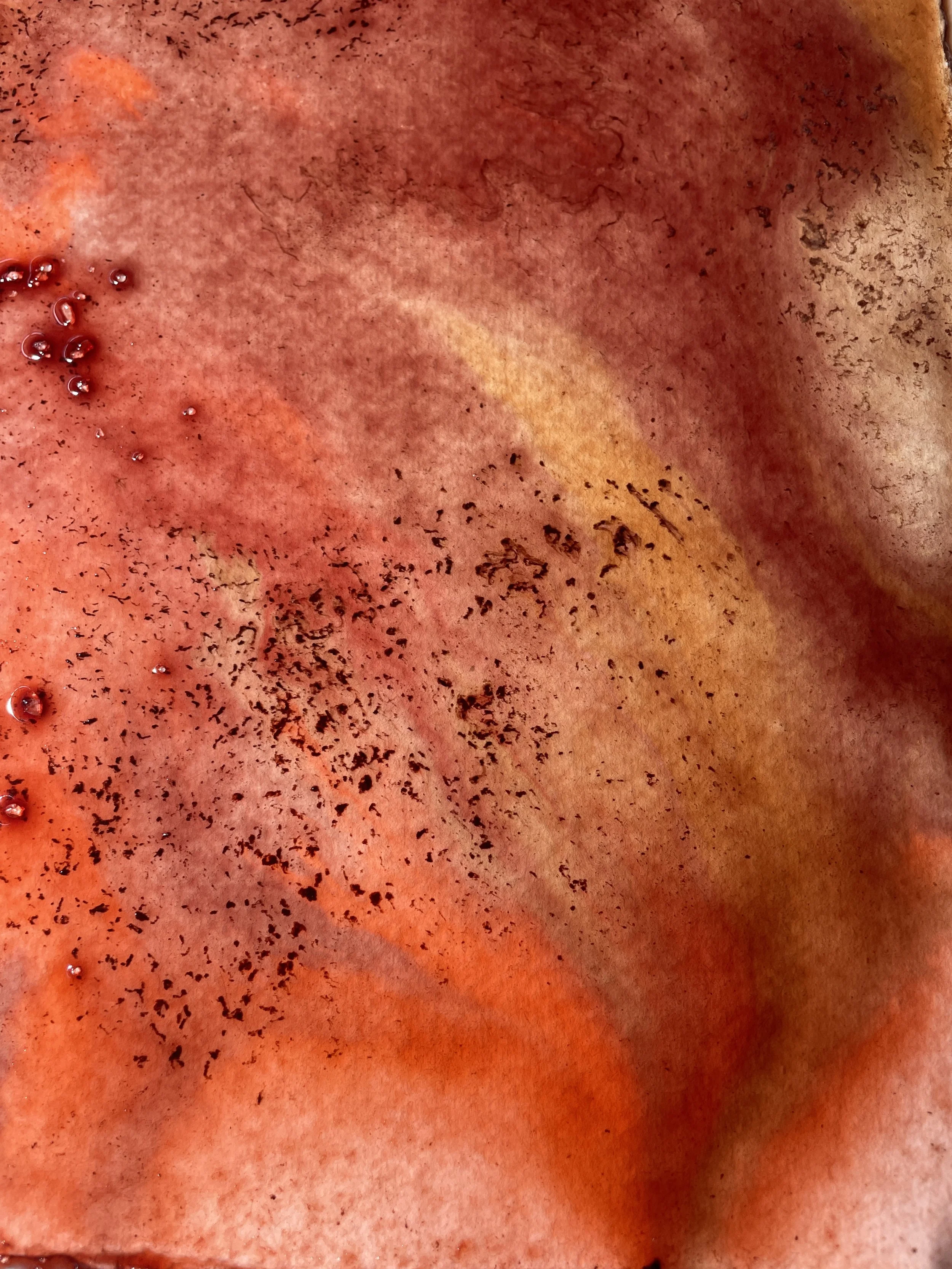 Coloration des papiers avec l'encre de coréopsis, variations des teintes par de modificateur de PH (potasse, jus de citron)
