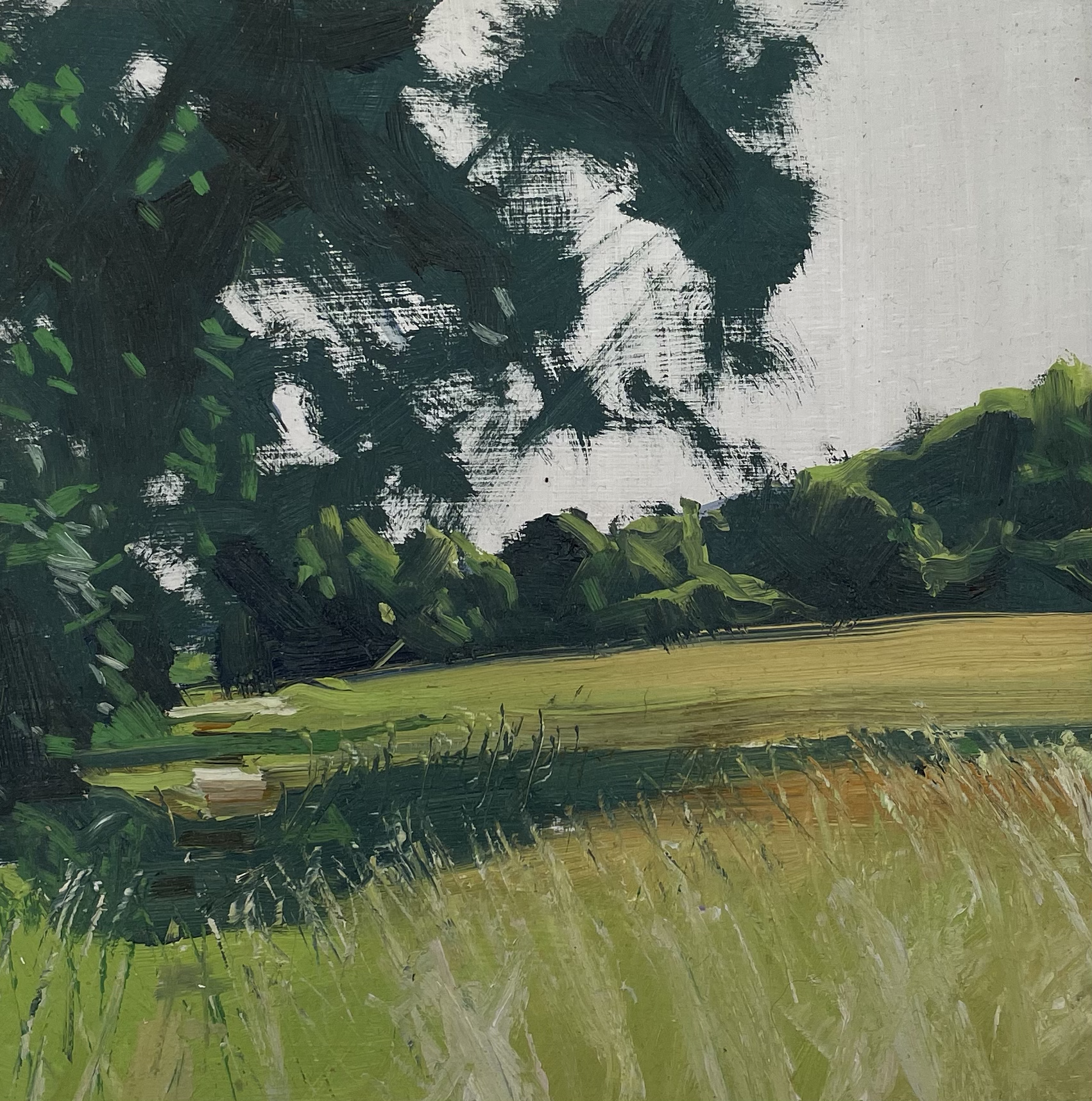 Field in August, Easter Compton, oil on board
