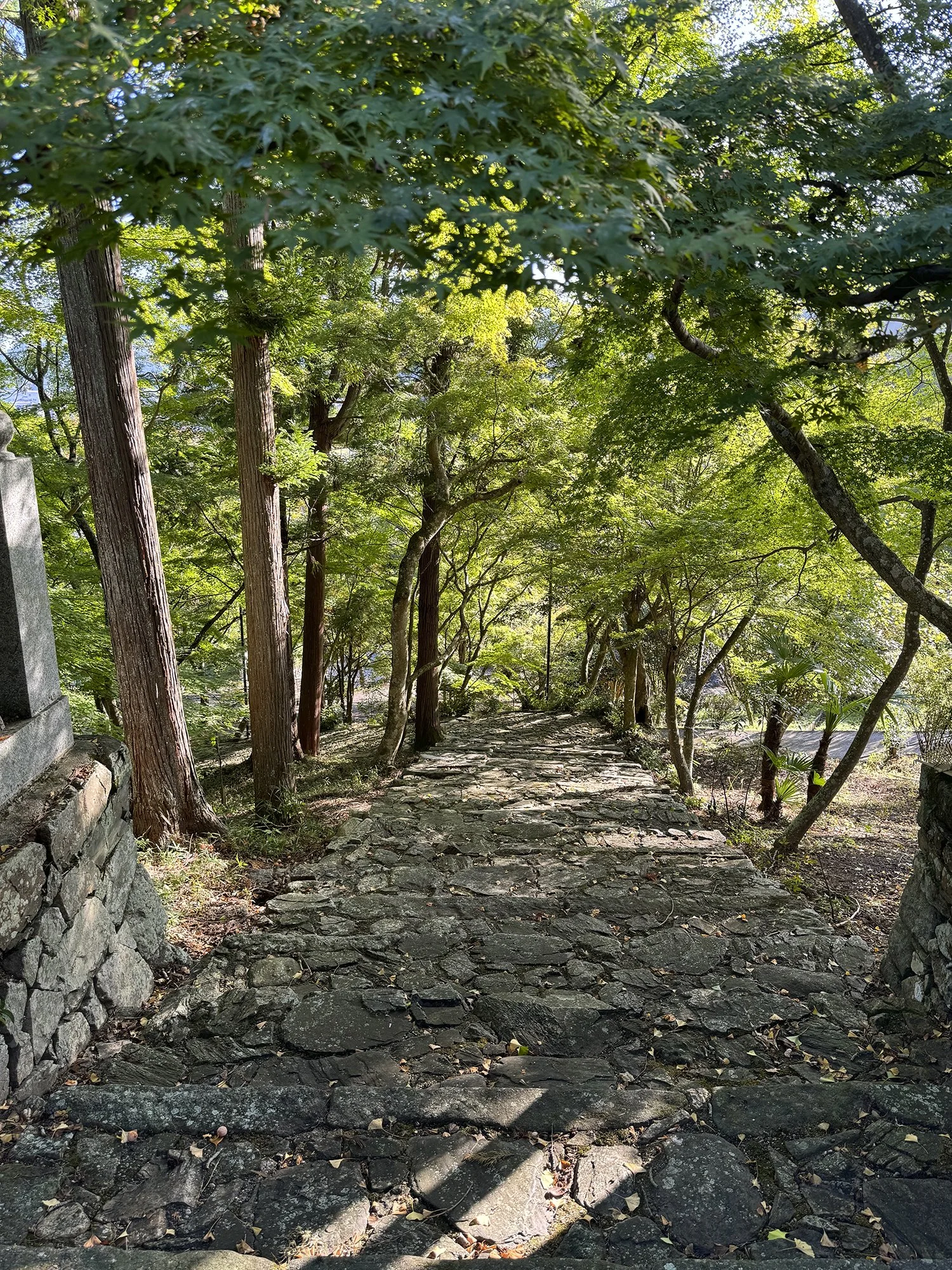 Temple Stairs.jpg