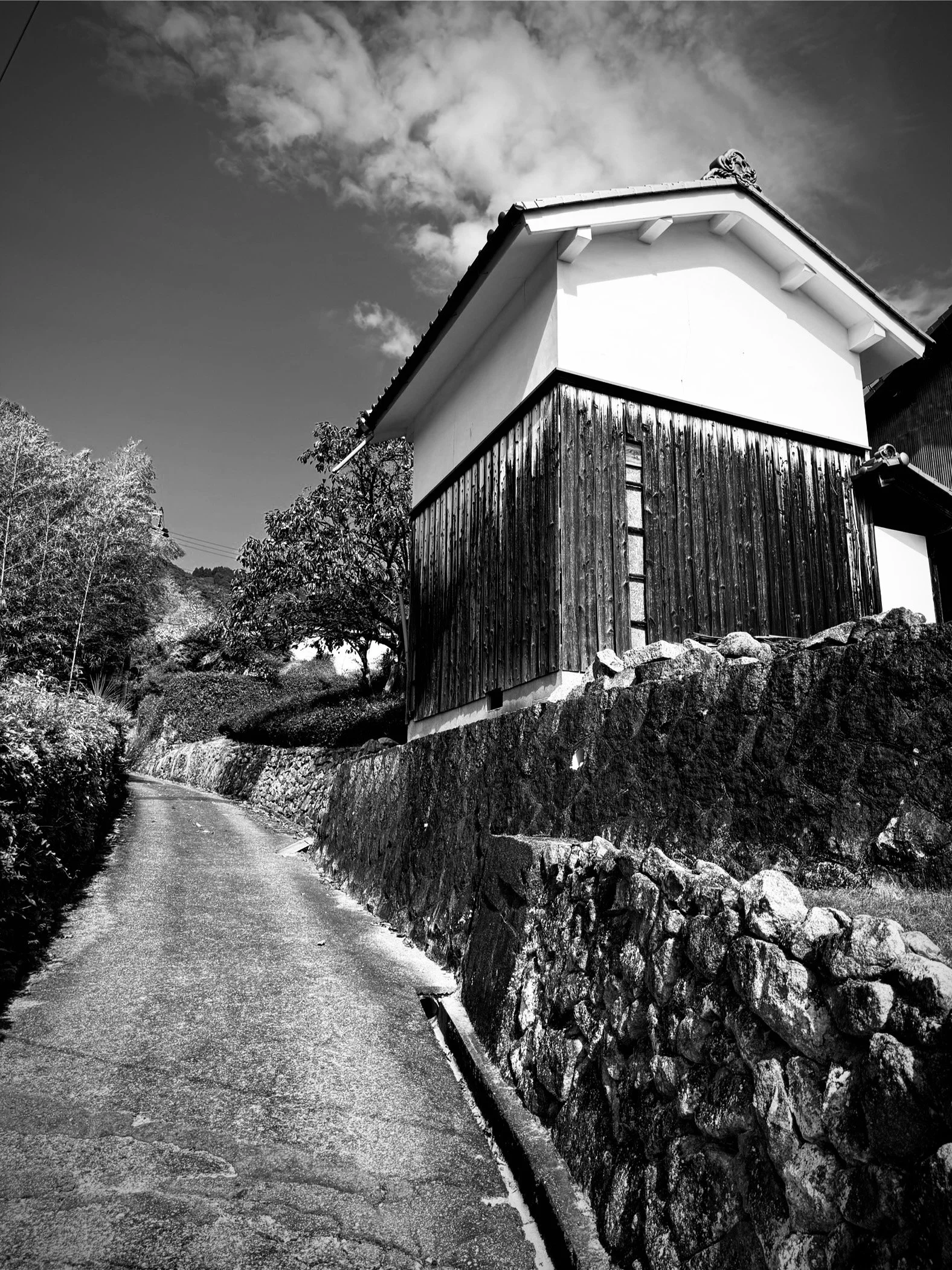 IMG_0269 (1).jpeg