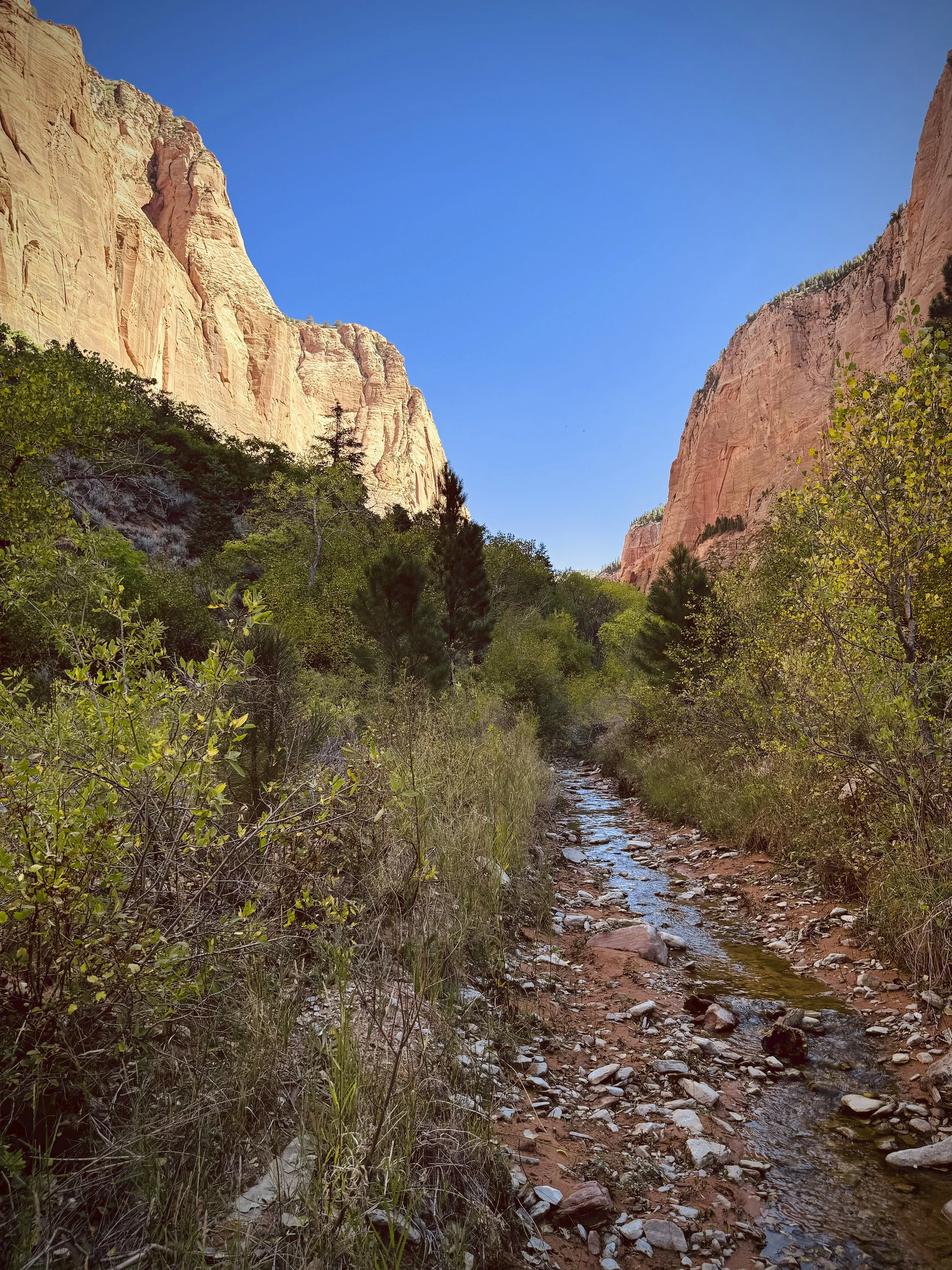 Kolab Canyon.jpg