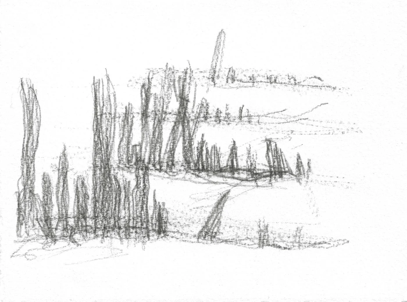 Study in Pierre Noire of four groynes at Aber Ogwen by Julian Brasington.