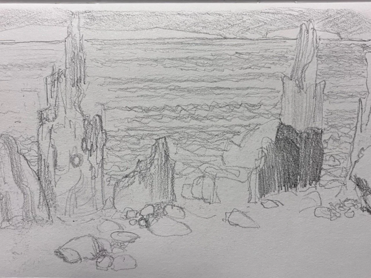 Stumps. Graphite. A6 sketchbook