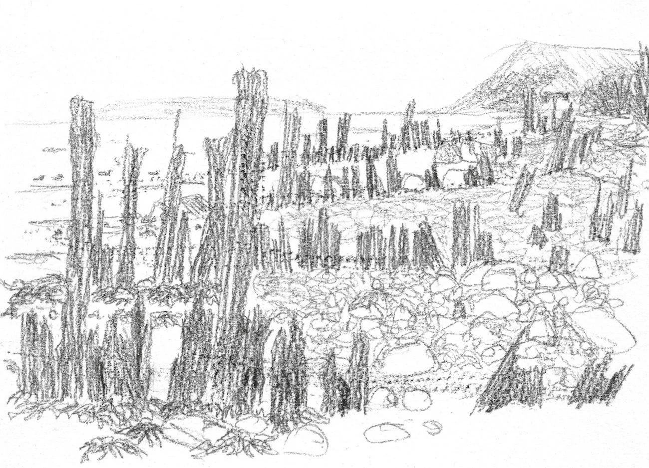 Study in Pierre Noire of a series of groynes at Aber Ogwen by Julian Brasington.