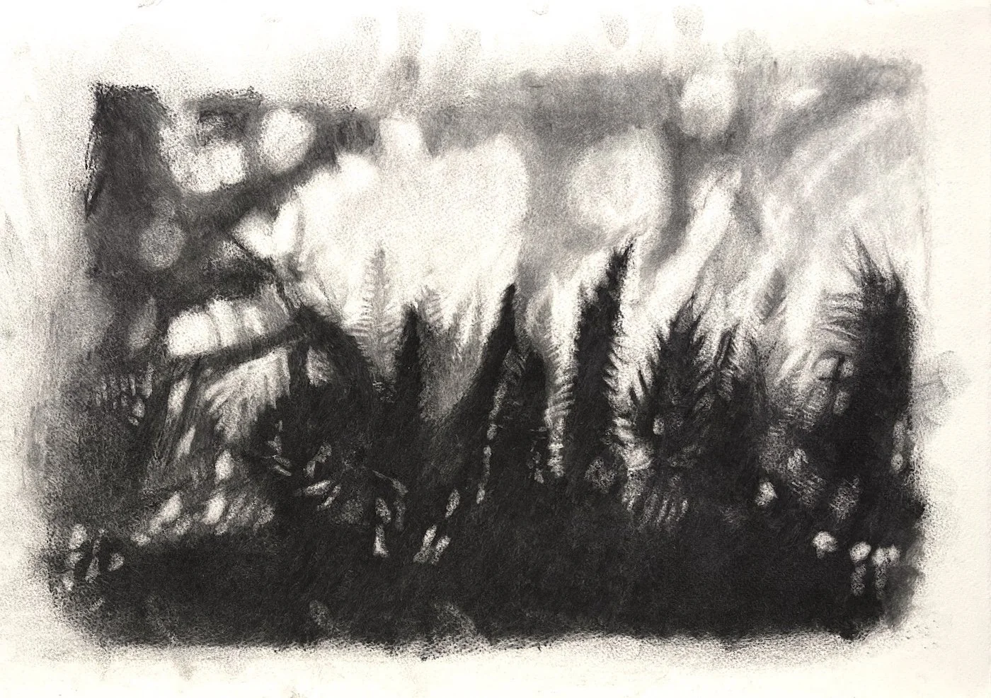 Clearing, Charcoal on paper, 2025