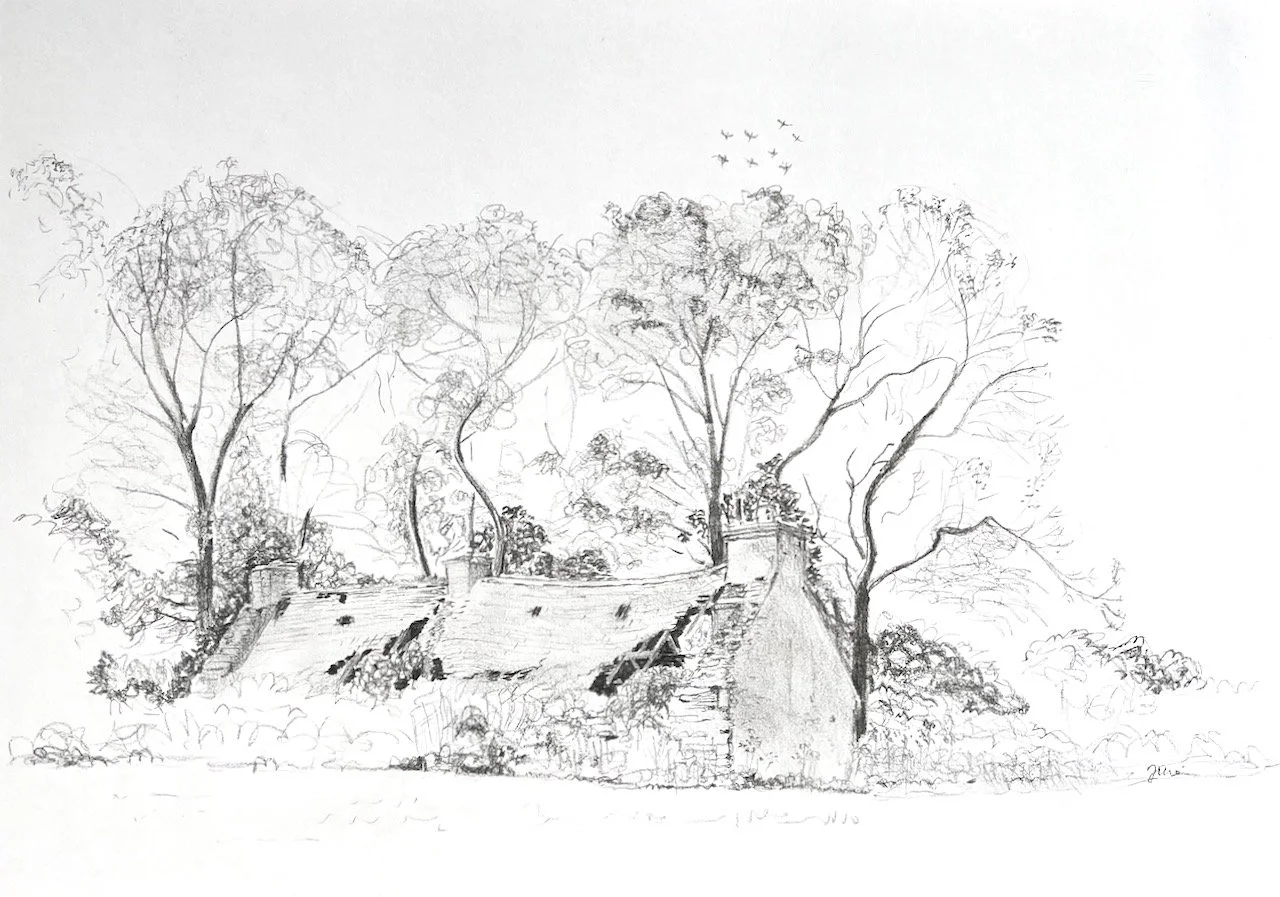 October 2024.  Pastel pencil on 110 gsm cartridge paper.  42 x 30 cm