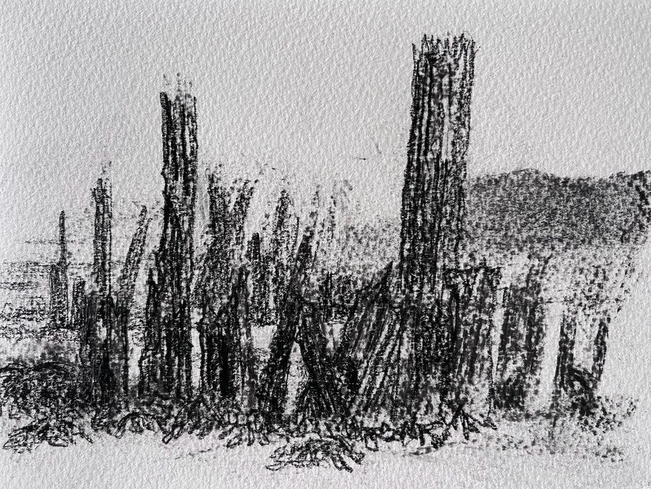 Cold. Pierre Noire. 300 gsm Somerset Textured. 19.5 x 14.5 cm