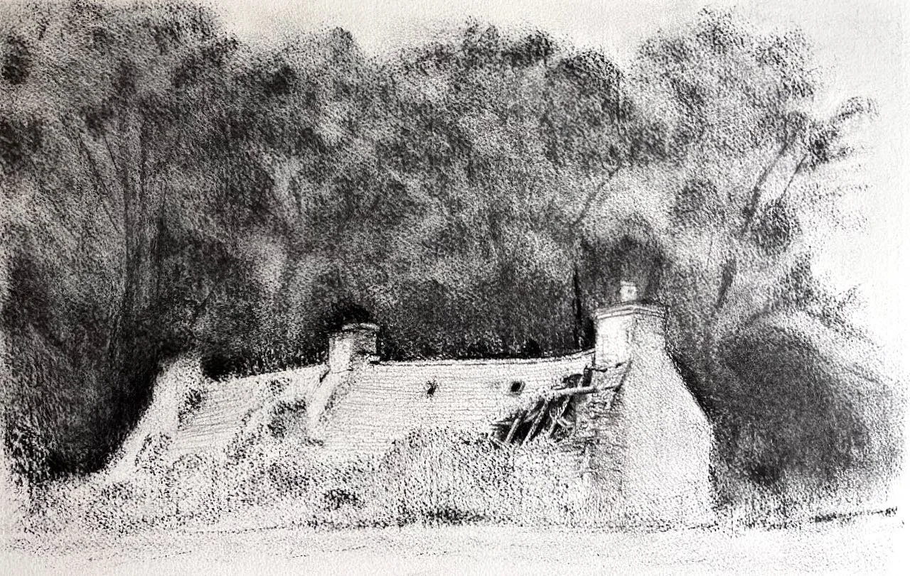 September 2025. Charcoal on 300 gsm Somerset textured paper.52 x 33 cm.