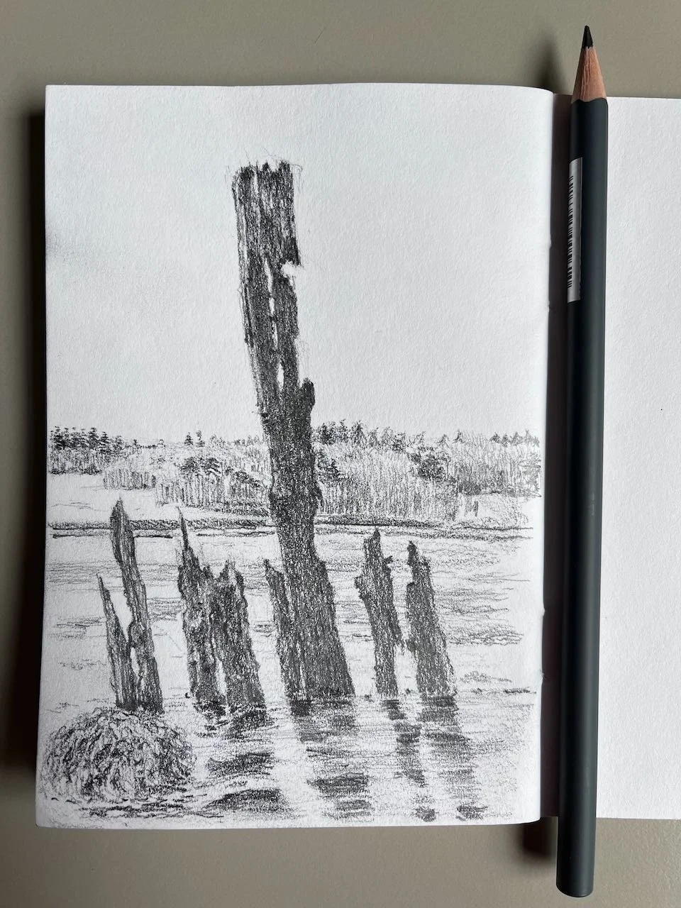 Gwylwyr y Môr. Graphite. A6 sketchbook