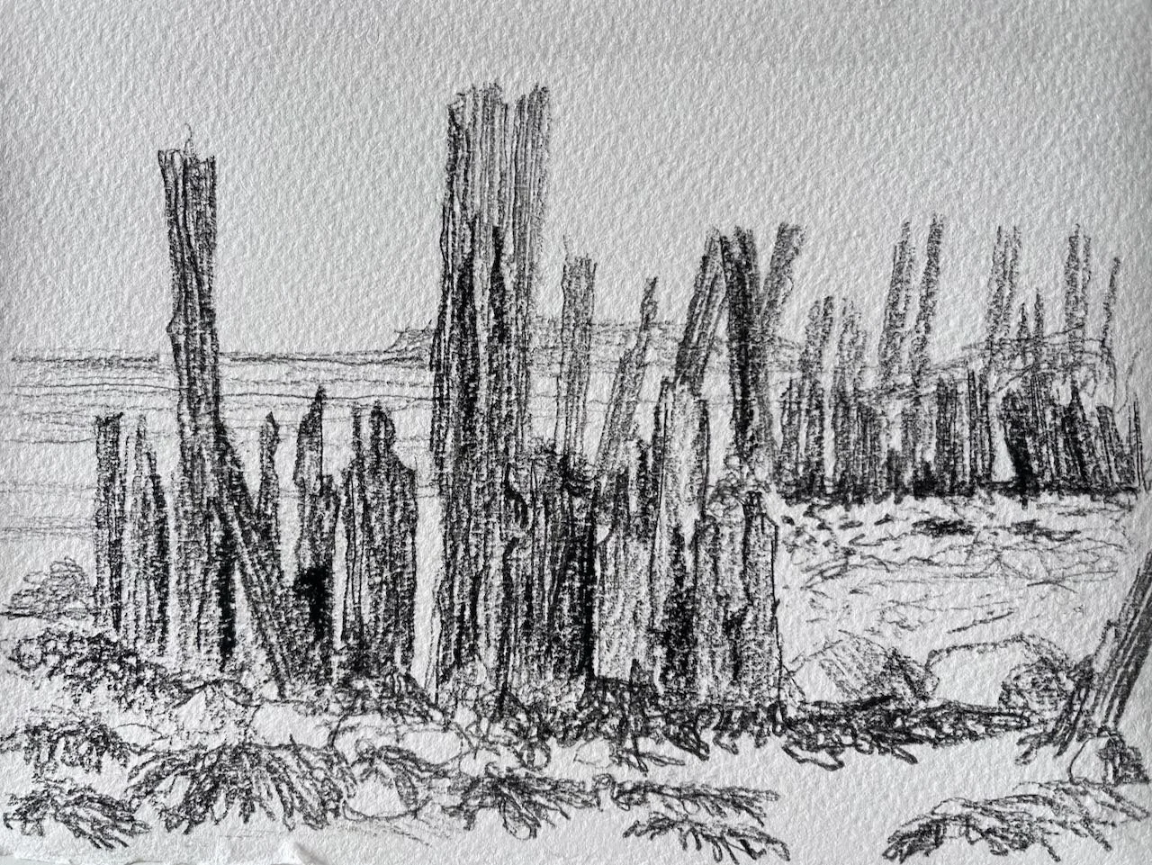 Weed. Pierre Noire. 300 gsm Somerset Textured. 19.5 x 14.5 cm