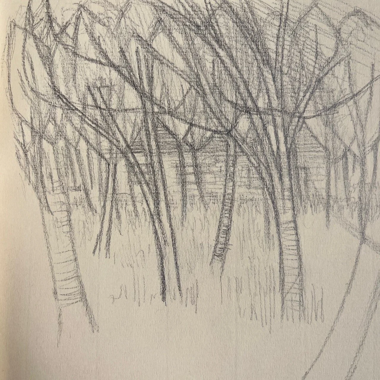 Coed 1.  Graphite.  Fabriano classic artist journal.  16 x 20.