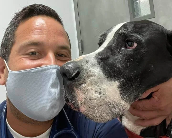 Joel_gran+danes.jpg