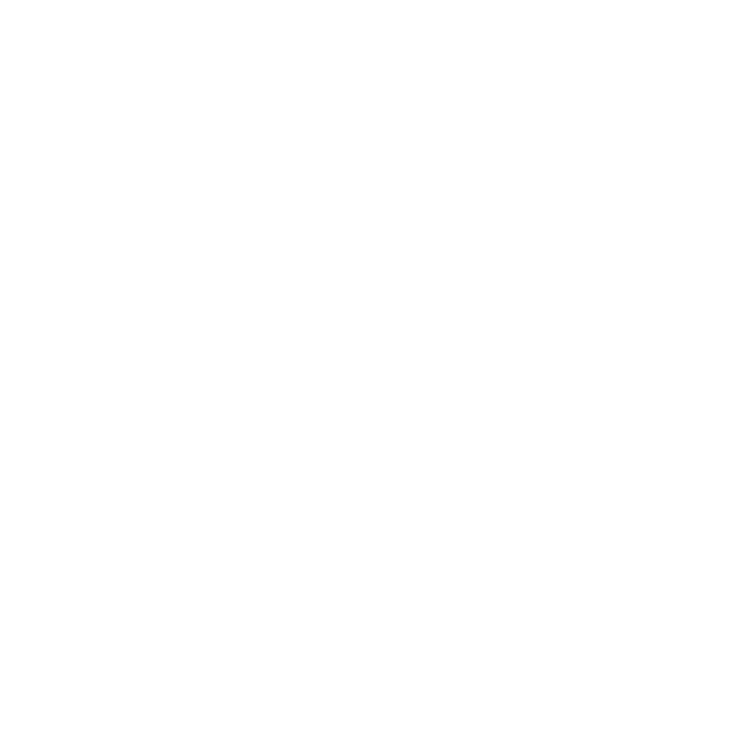 The Washington Post Logo
