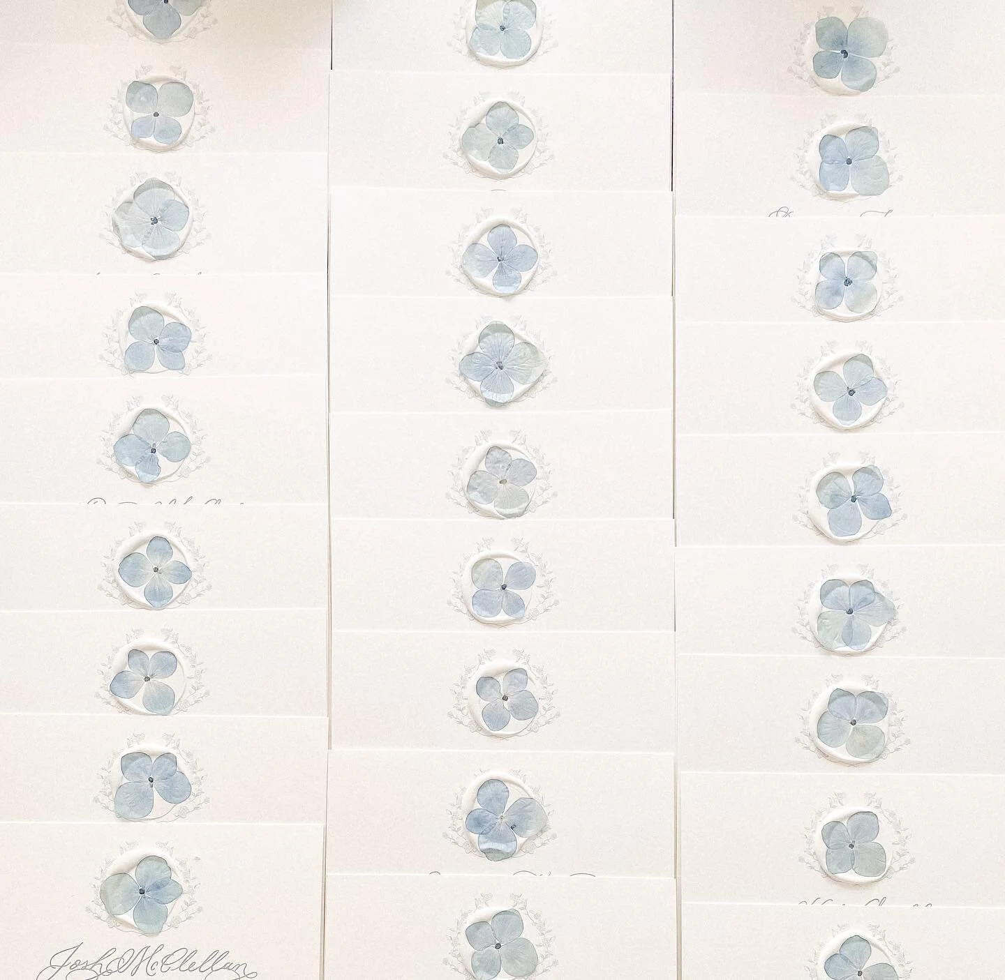 An oldie but a goodie - Custom wedding menus with pressed petals in wax seals for a Charleston wedding