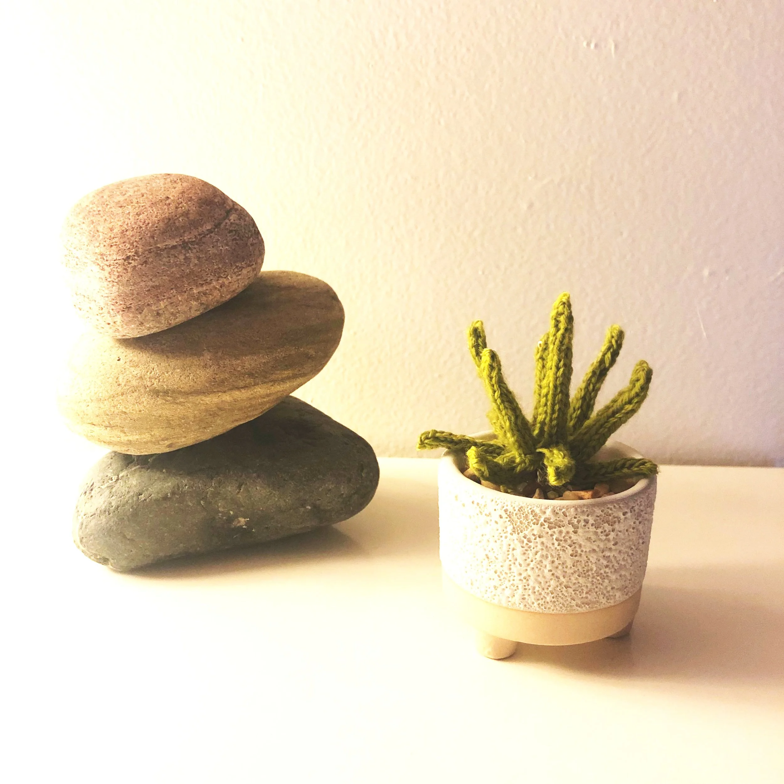 Succulknits-08.jpg