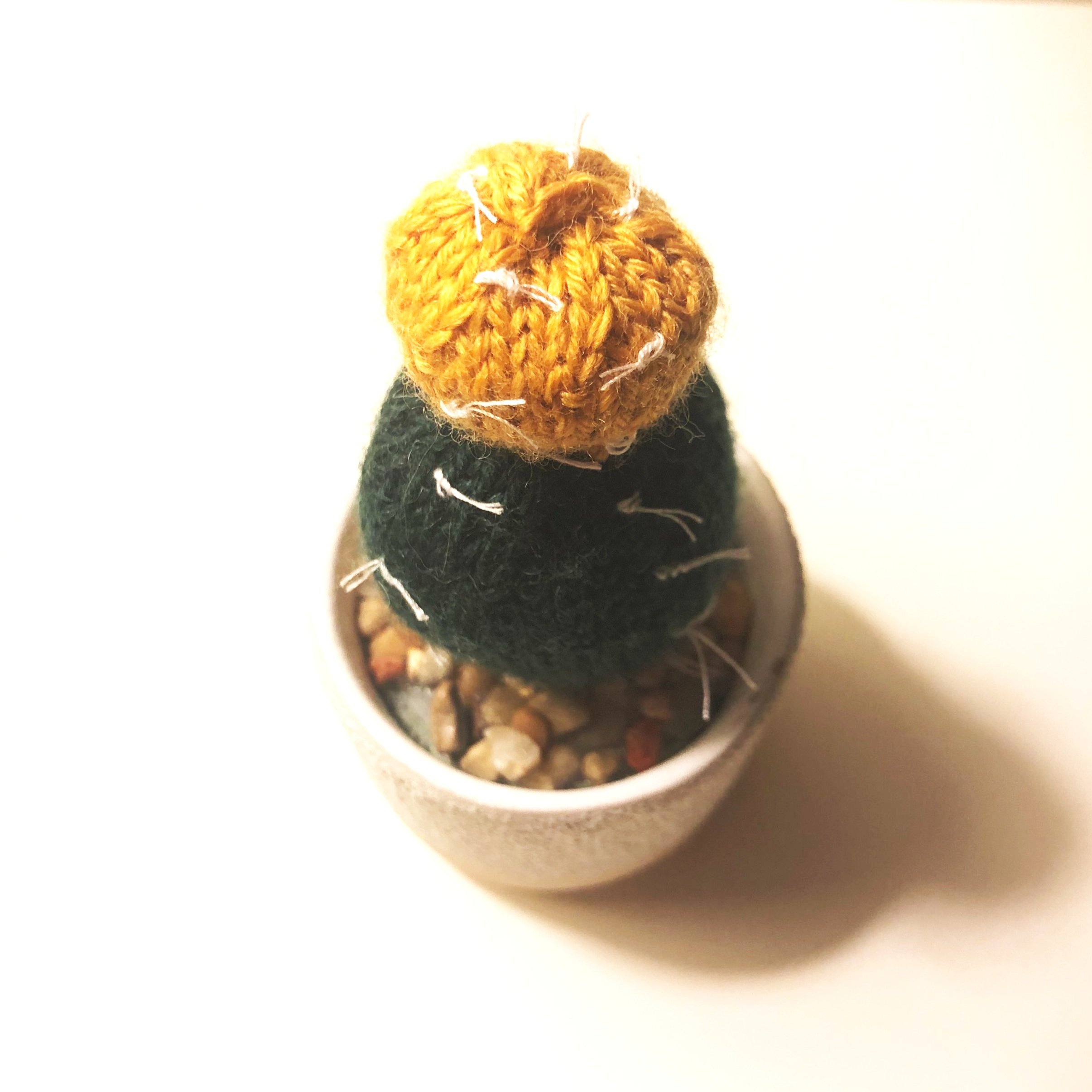 Succulknits-15.jpg