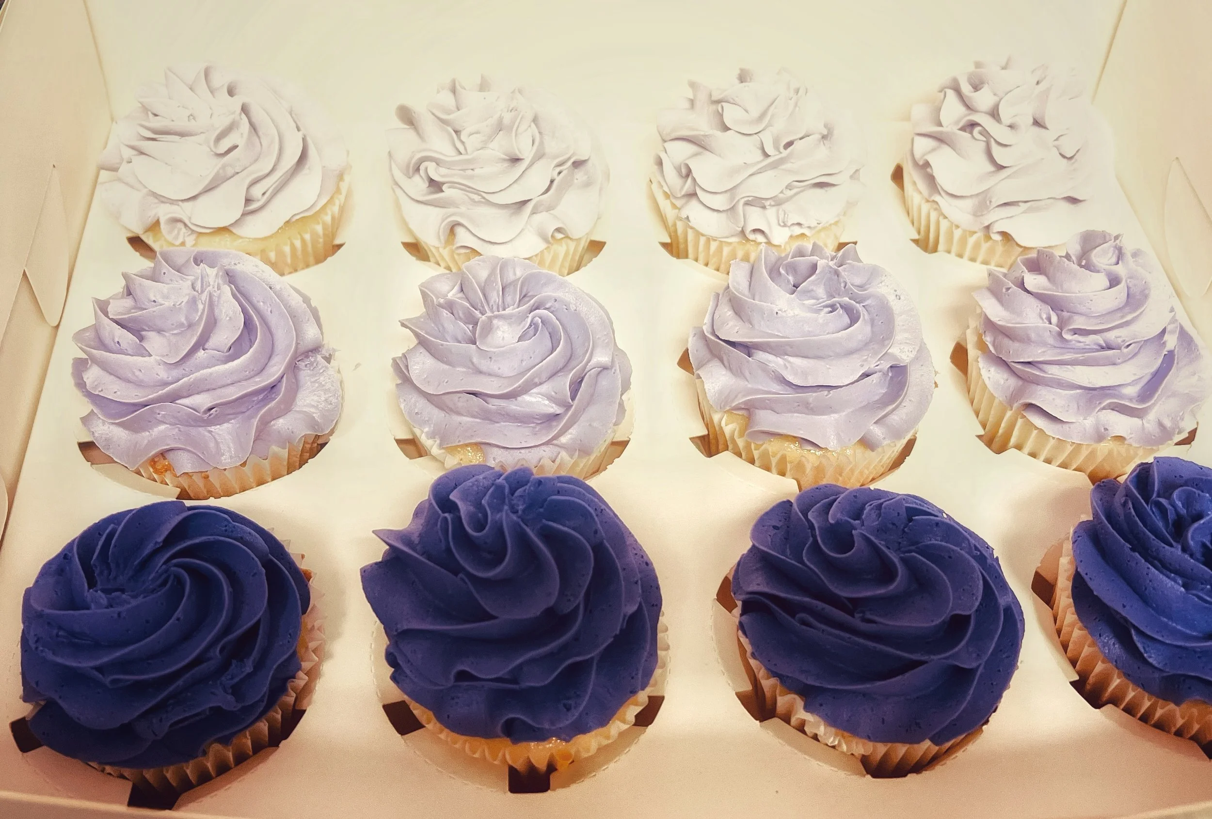 purp hombre cup.jpeg