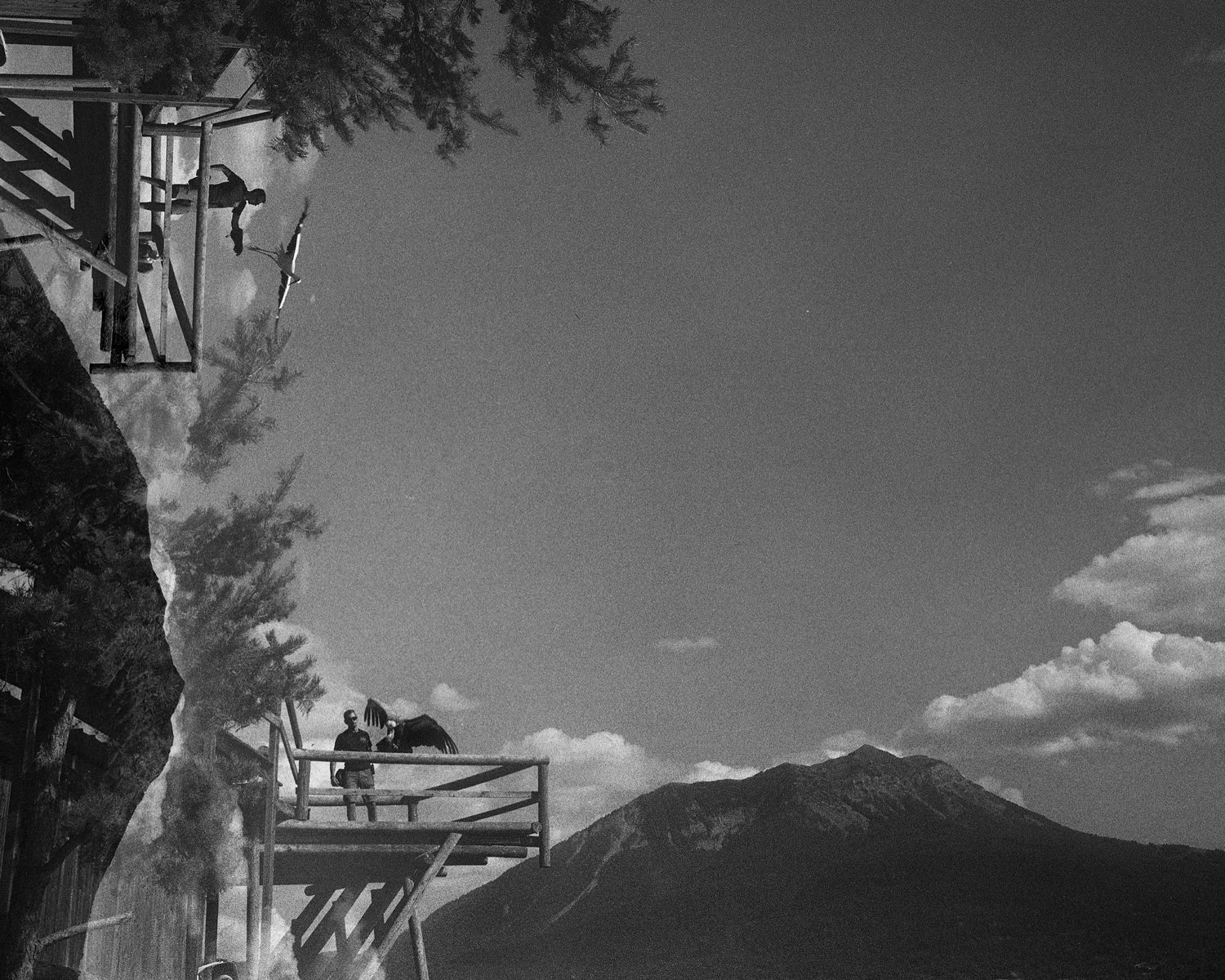 NO MIND LAND NEG NB 00802-(75x60).jpg