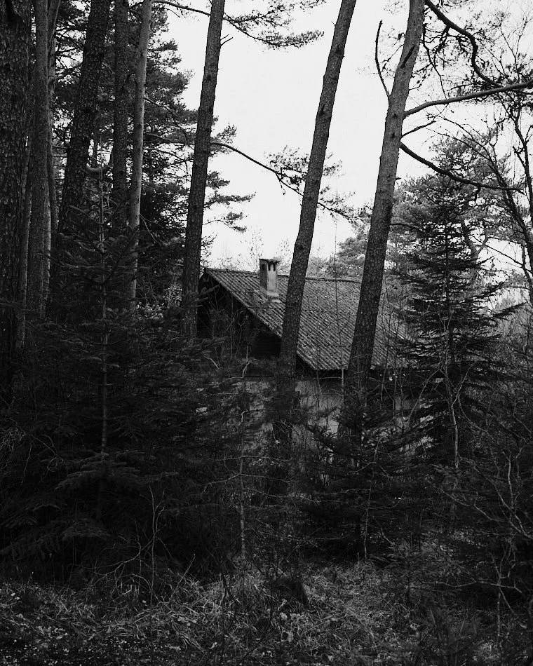 © Andrea Graziosi - Reve-Nuit-Jardin du MIP -3808.jpg