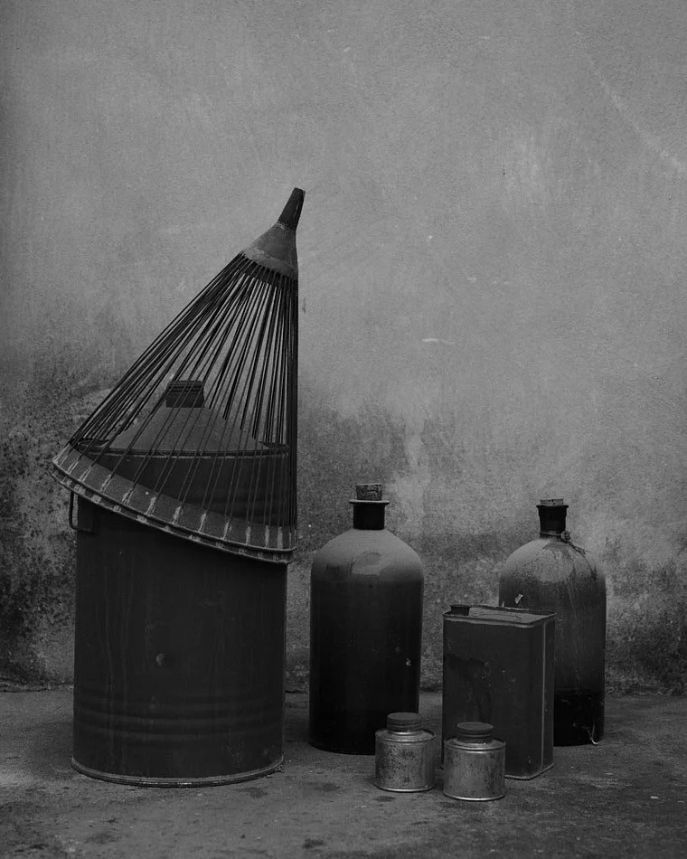 © Andrea Graziosi - Reve-Nuit-Jardin du MIP -4467.jpg