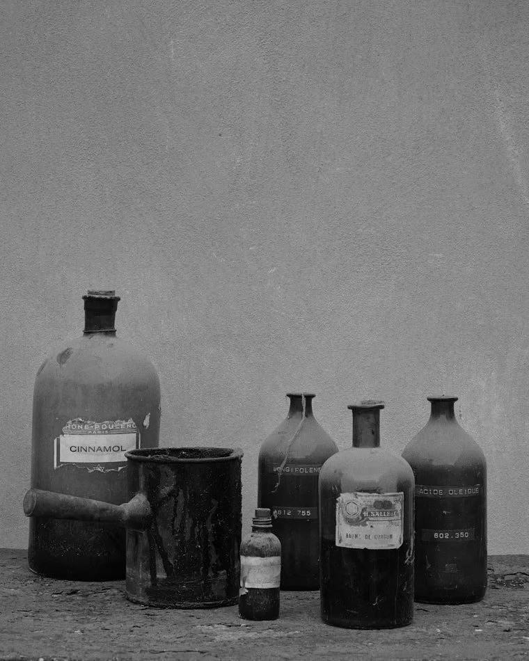 © Andrea Graziosi - Reve-Nuit-Jardin du MIP -4431.jpg