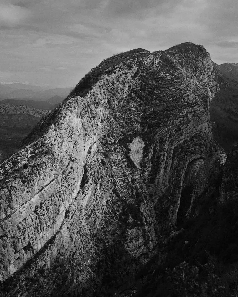 © Andrea Graziosi - Reve-Nuit-Jardin du MIP -3872.jpg