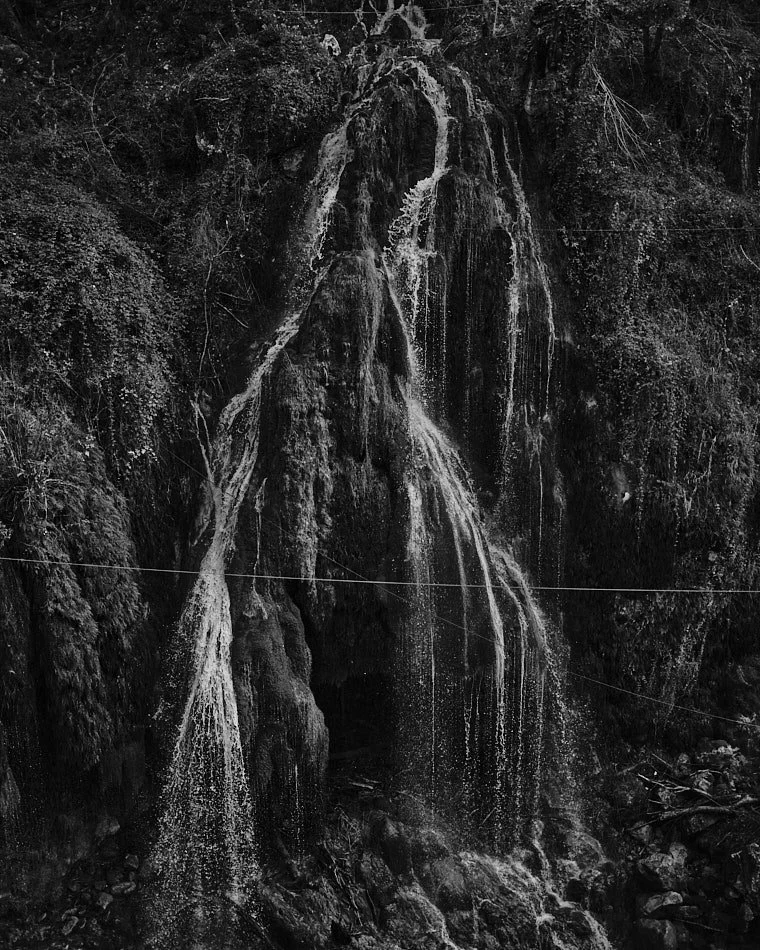 © Andrea Graziosi - Reve-Nuit-Jardin du MIP -3664.jpg