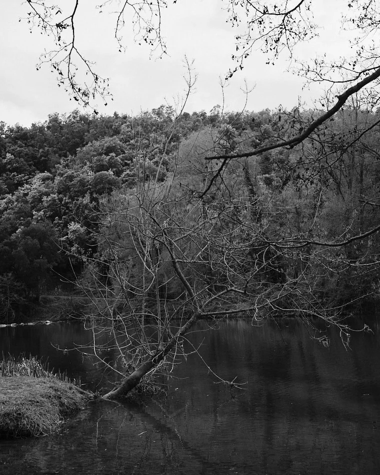 © Andrea Graziosi - Reve-Nuit-Jardin du MIP -3676.jpg