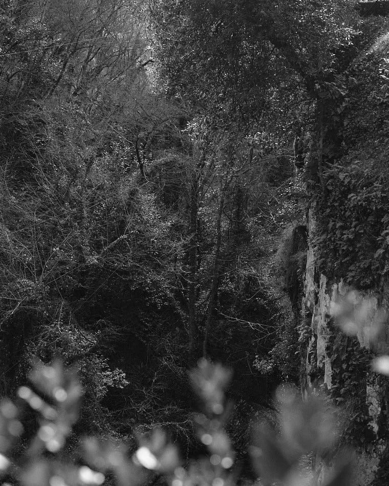 © Andrea Graziosi - Reve-Nuit-Jardin du MIP -3639.jpg