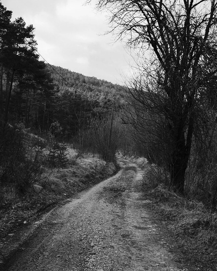 © Andrea Graziosi - Reve-Nuit-Jardin du MIP -3784.jpg