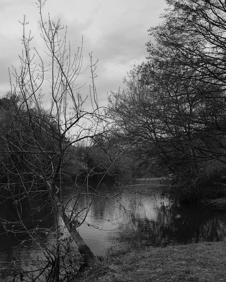 © Andrea Graziosi - Reve-Nuit-Jardin du MIP -3679.jpg