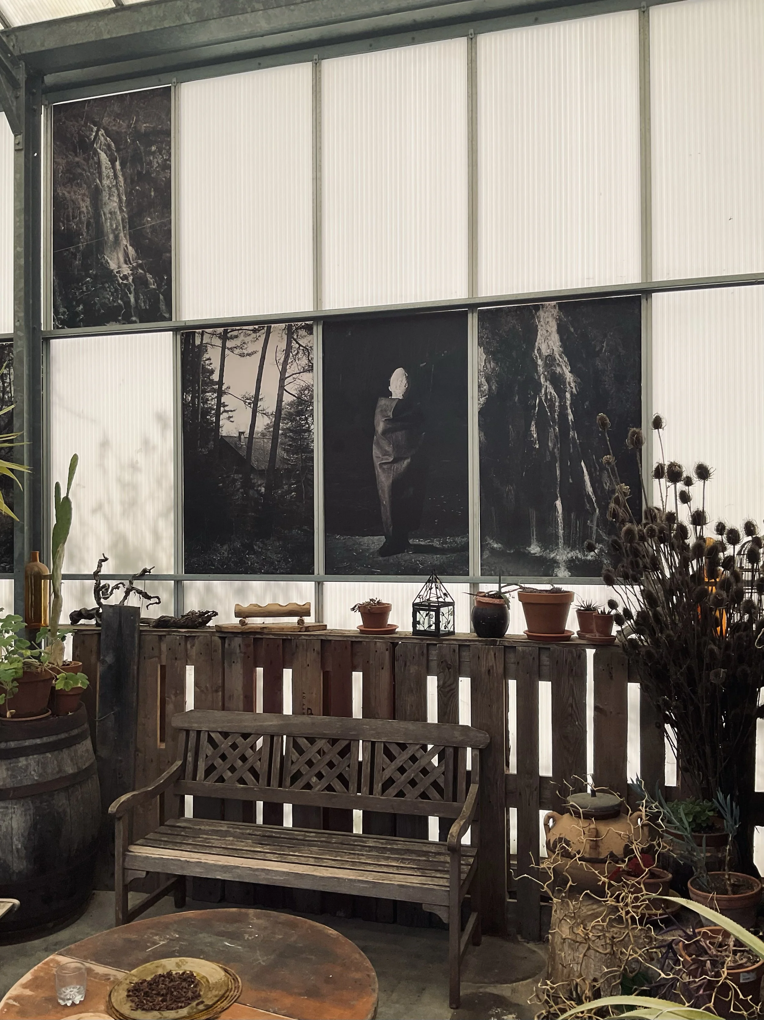 © Andrea Graziosi - Reve-Nuit-Jardin du MIP -_2227.jpg