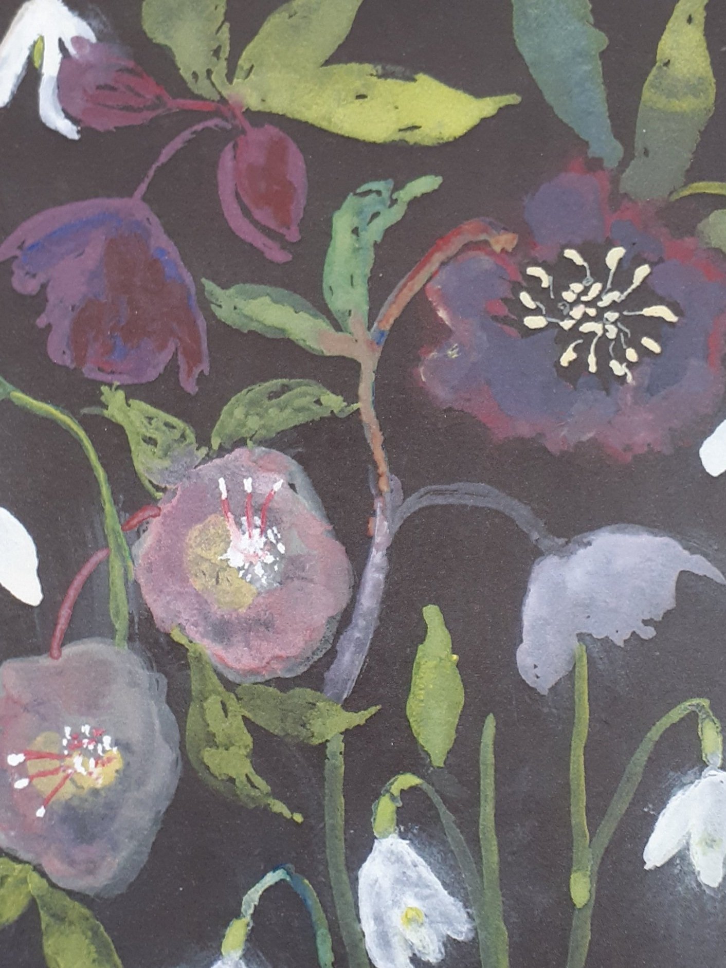 Front%2Bof%2Bhellebores%2Bcard%2Bphone%2B20240331_094536.jpg