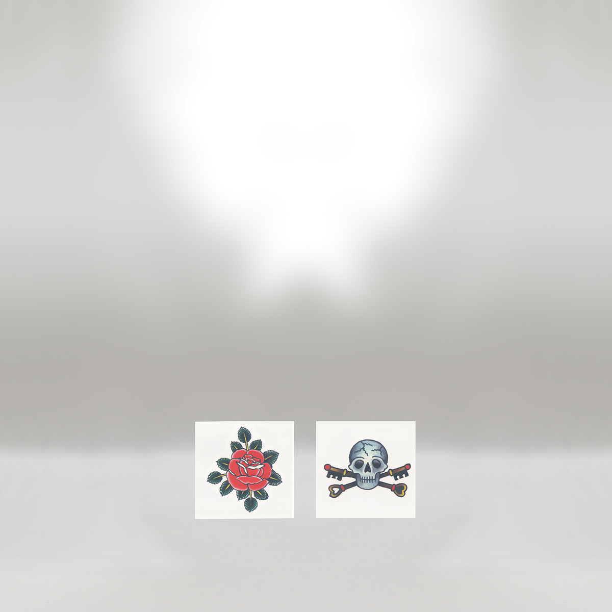 A digital screen displaying two photo options: one of a red rose with green leaves, and one of a skull with crossed keys.