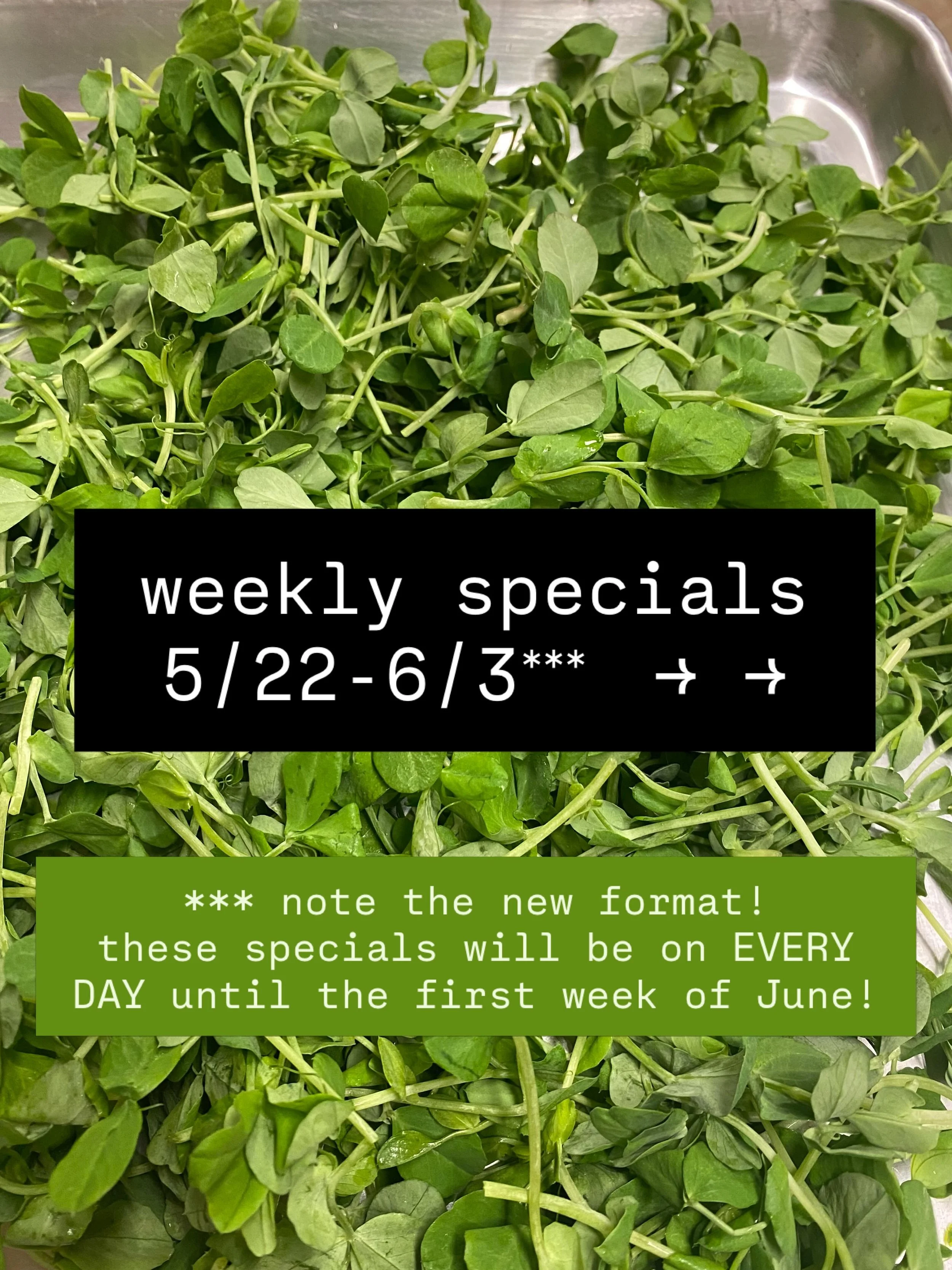 It&rsquo;s Memorial Day weekend! We&rsquo;ll be open our normal hours all weekend for all your brunch needs - and congrats IC &amp; CU grads!

As for specials, we&rsquo;re switching it up a little this week: Transitioning gradually into a new format 