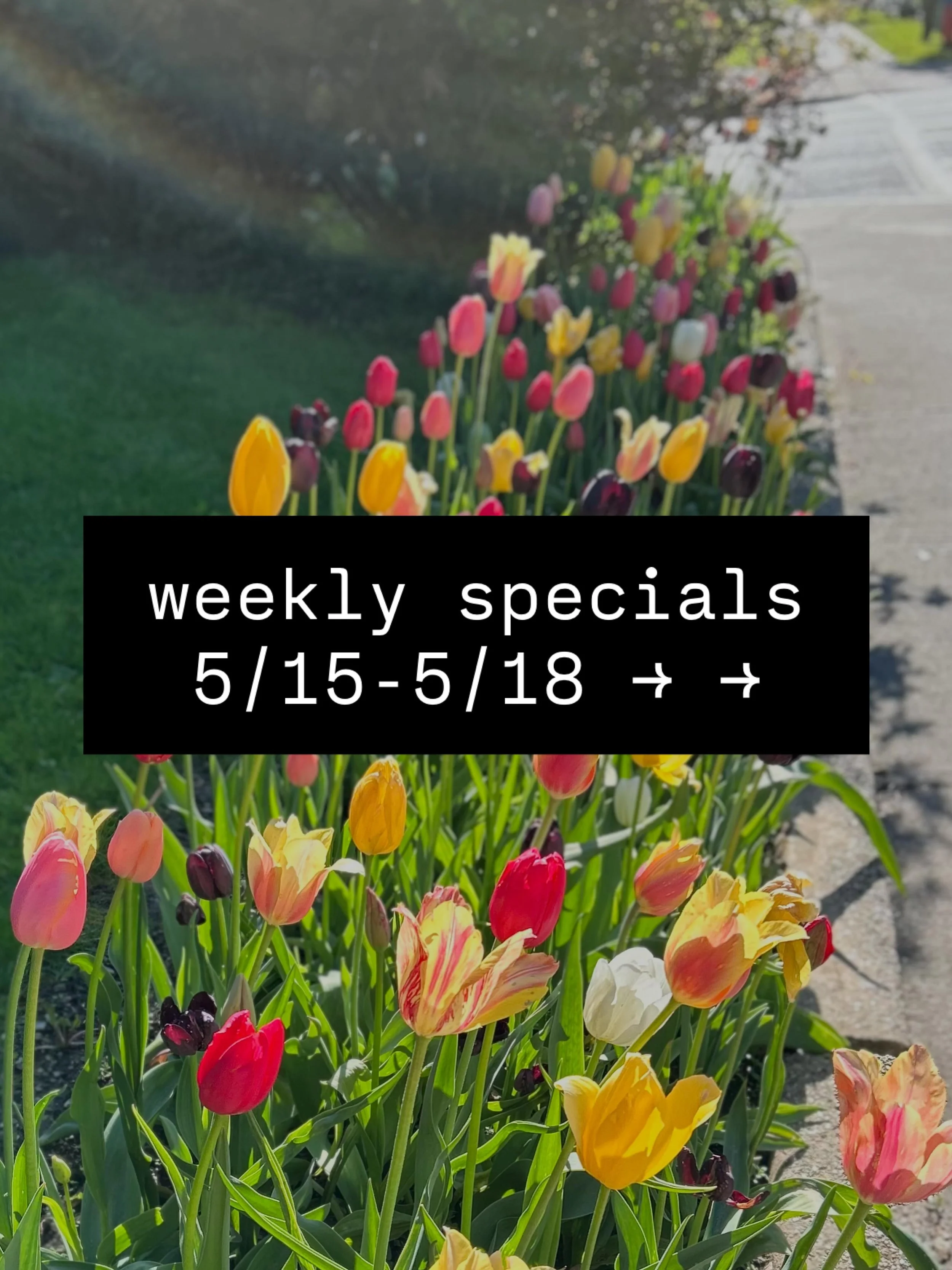 Some lovely specials for you this weekend, including a turkey/brie/bacon/jam sandwich verrry reminiscent of the Michel of yore, for those who remember. We made more raspberry rhubarb french toast, so if you didn&rsquo;t get to try it for Mother&rsquo