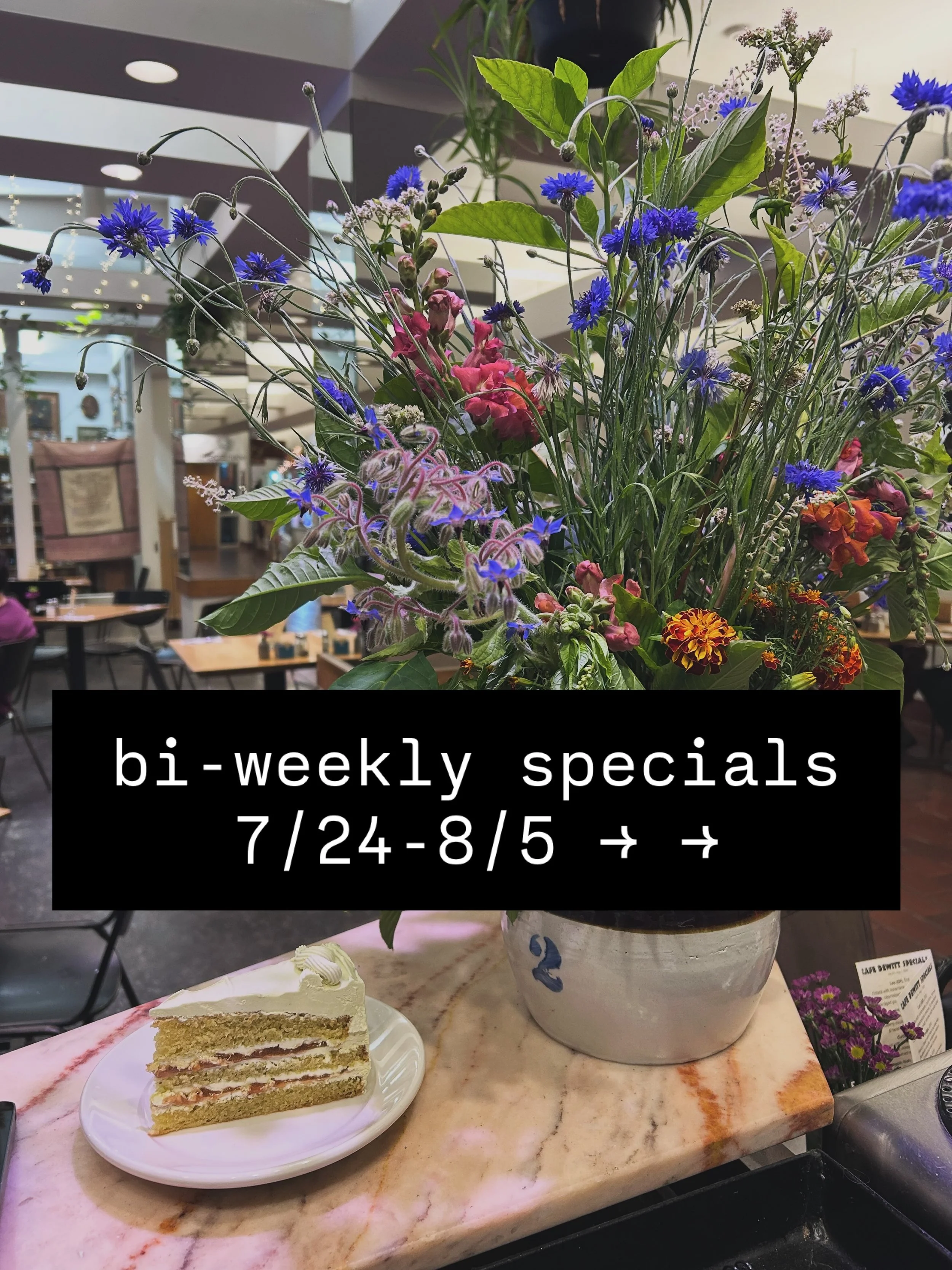 We&rsquo;re so back &ndash; with summer produce in full force, luckily. On our menu for the next two weeks you will find a hyper-local frittata, double blueberry french toast, a curried chicken salad sandwich, and much more. Emmy Palmer still going s