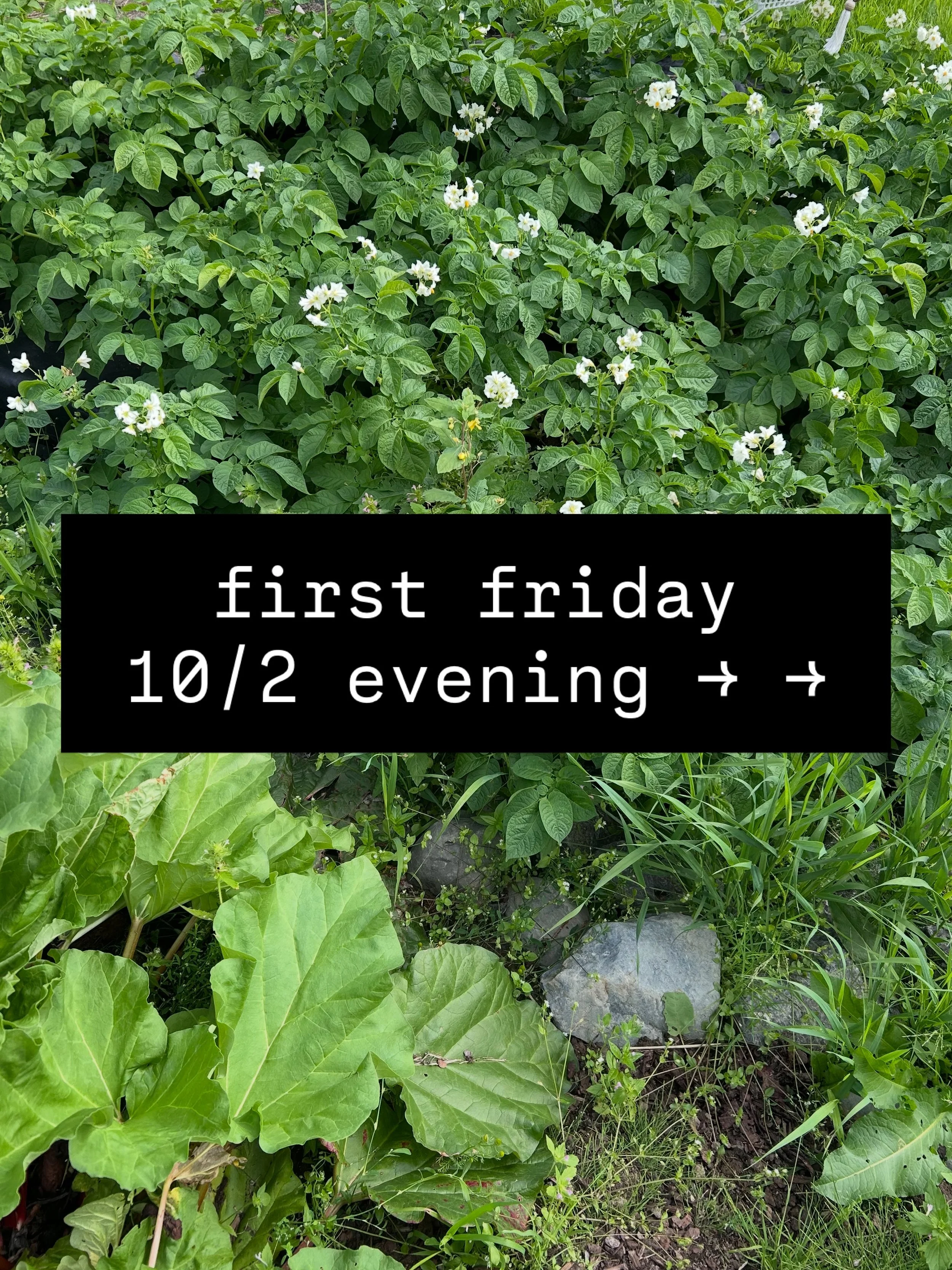 It&rsquo;s October&rsquo;s First Friday! (Already?!?)

We&rsquo;re welcoming back Immigrant Solidarity for their Busking for Justice series, this time with live music by Six Mile Craic.

Keeping in theme, we&rsquo;re making a whole Irish spread for y