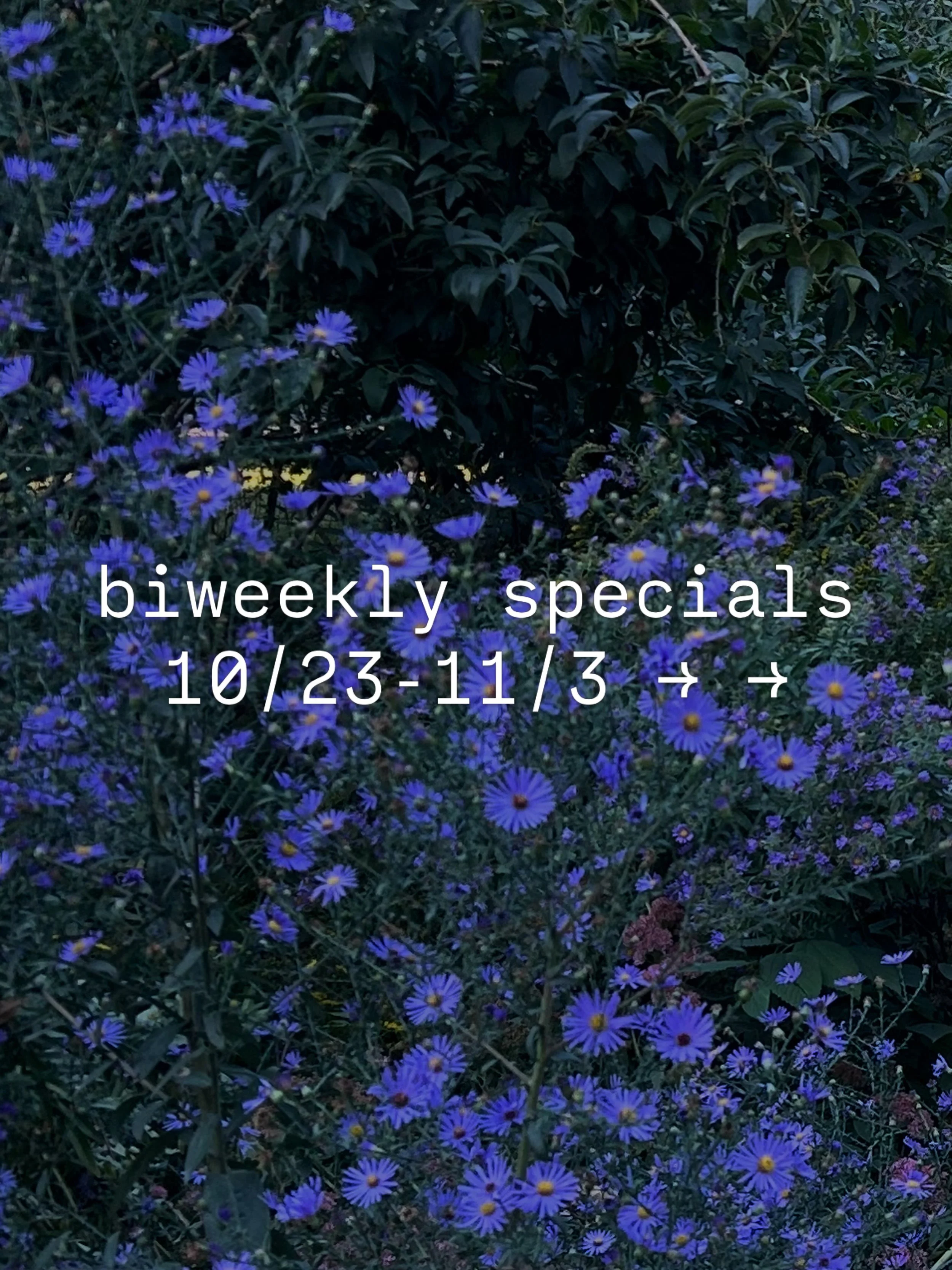 Specials for 10/23-11/3, Halloweekend included!

We had such a blast this past weekend at Hot Pot in the Greenhouse at @stickandstonefarm, thanks @fullplatefarmcollective for putting it on and @buffalostreetbooks for being there with Natasha Pickowic